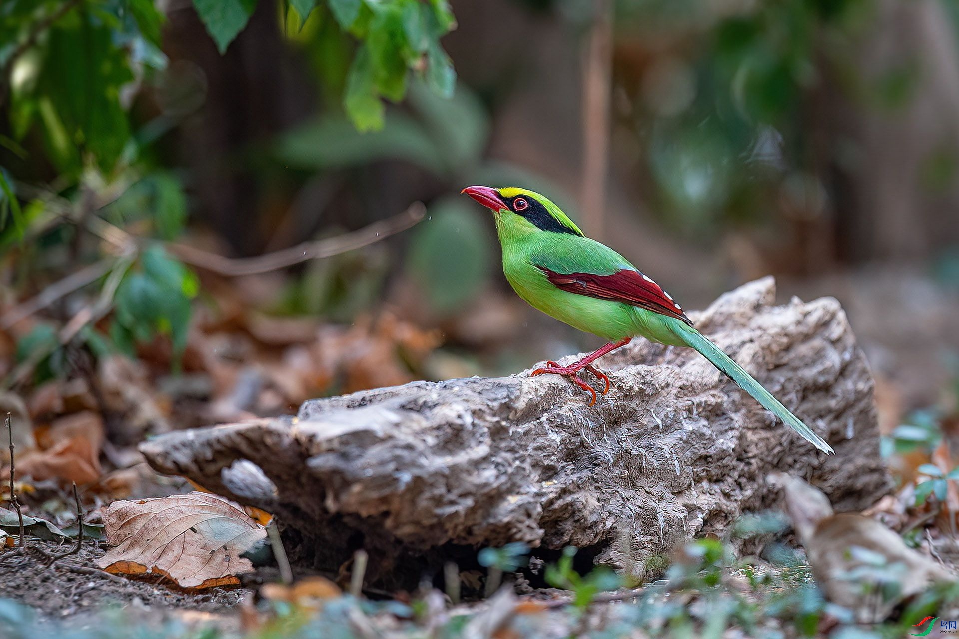 DSC_3955.jpg