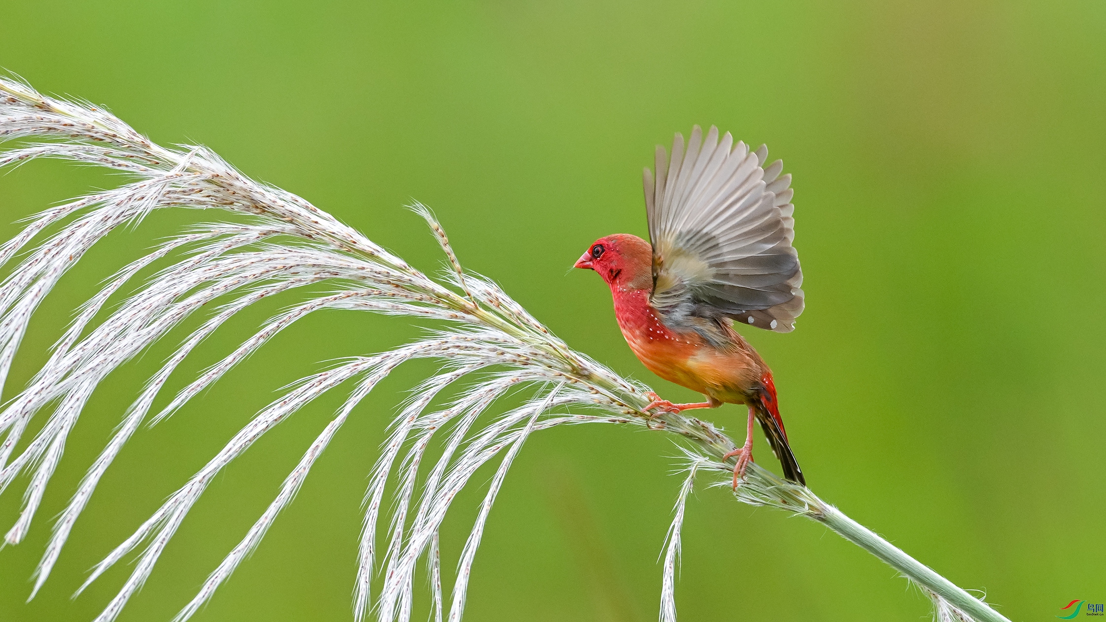 1422 ����.jpg