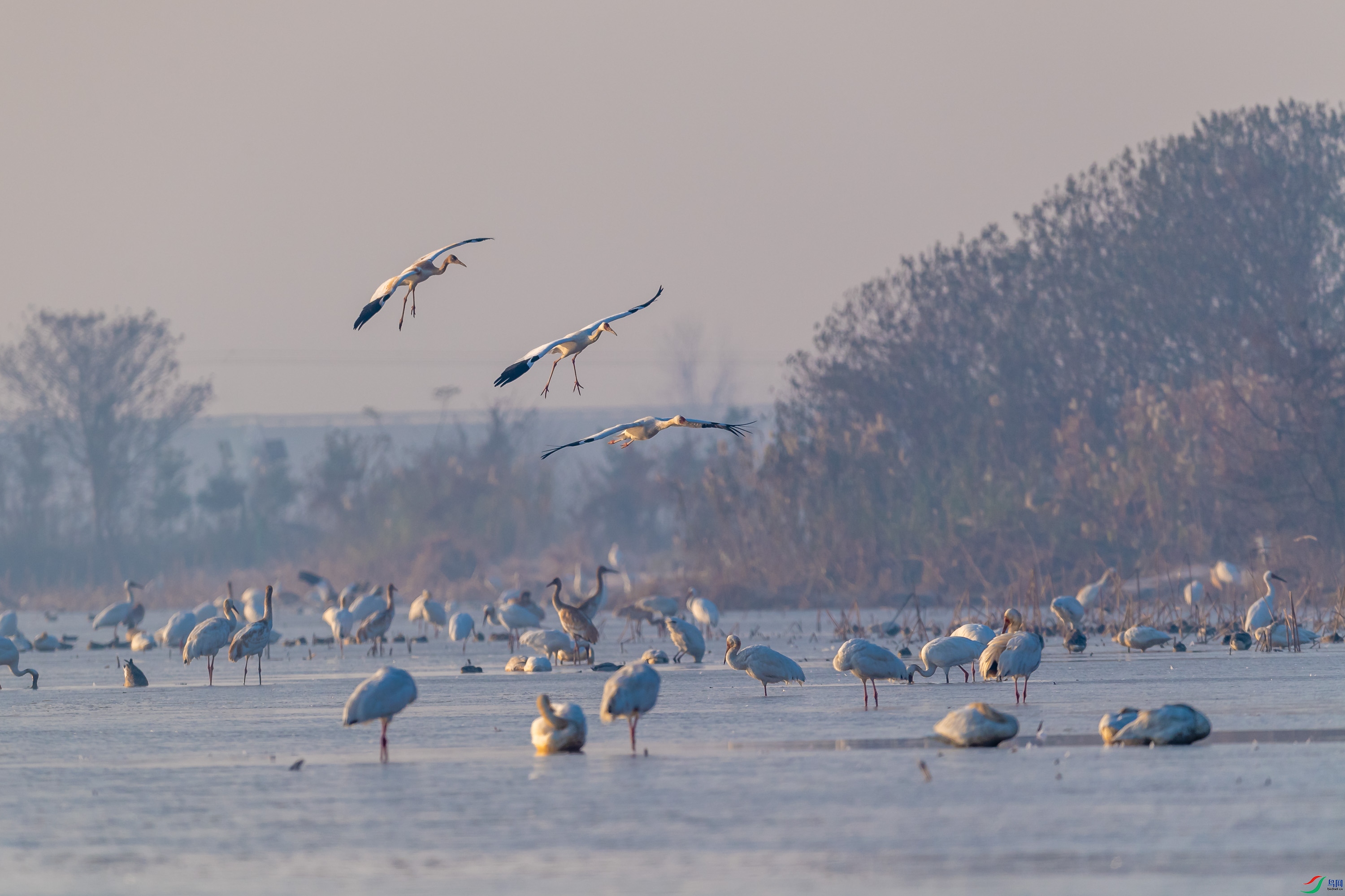 DSC_6686.jpg