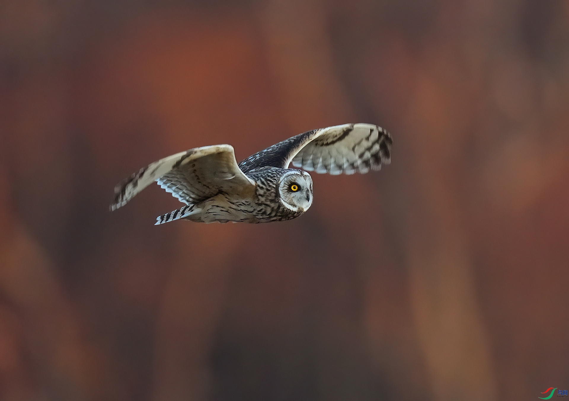 DSD03683--...jpg