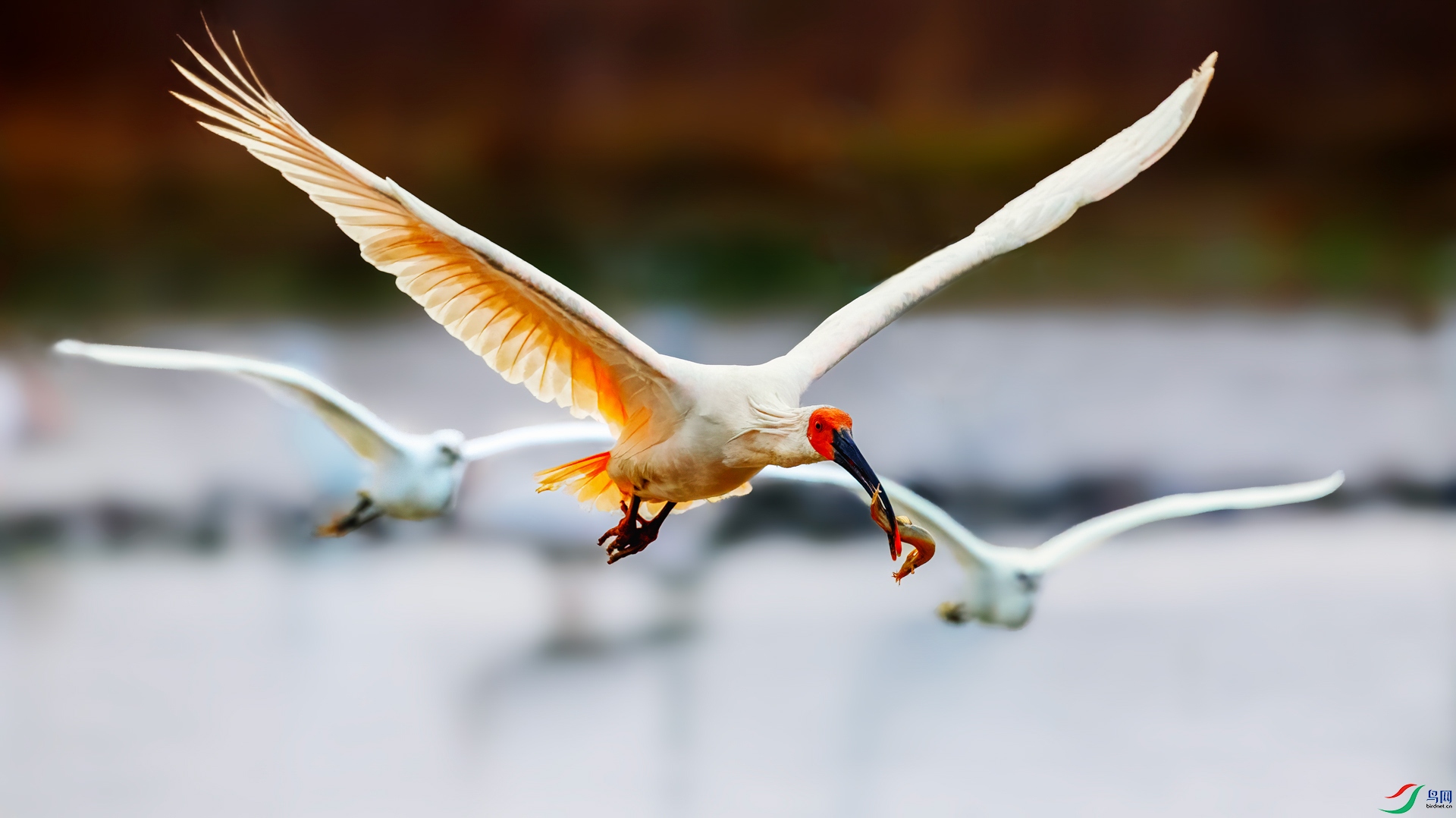 �ļ��� ��һ��Ļ��� ��־����.jpg