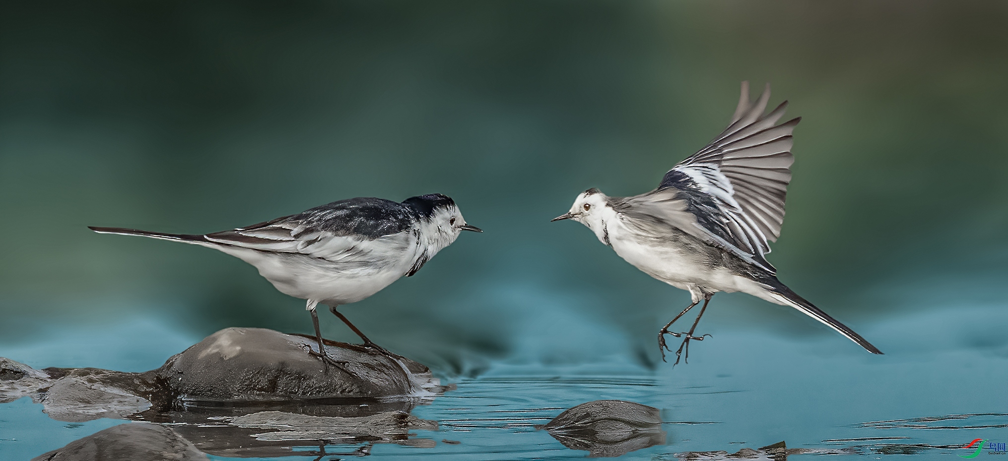 ��������գ�