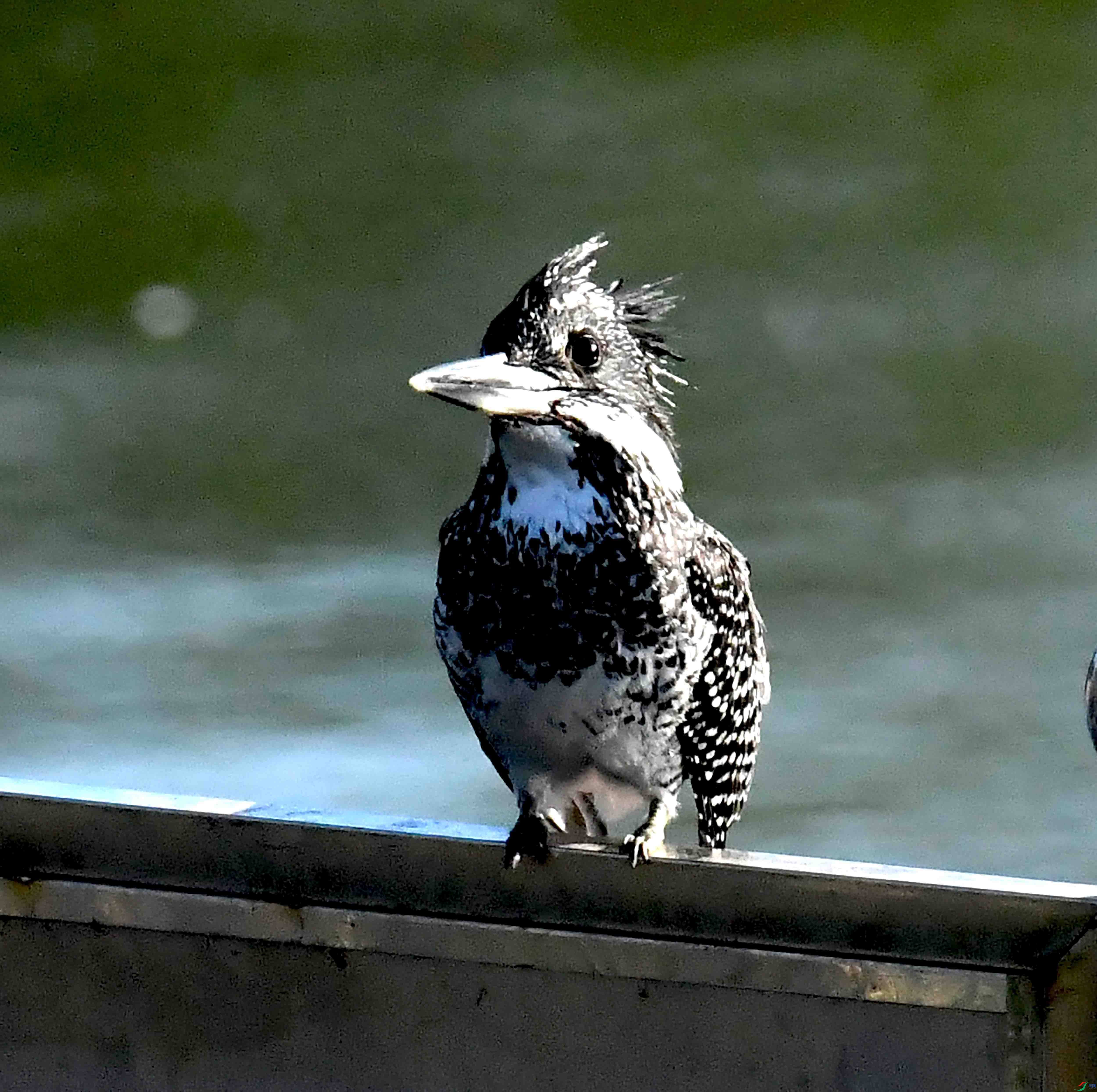 DSC_0543.JPG