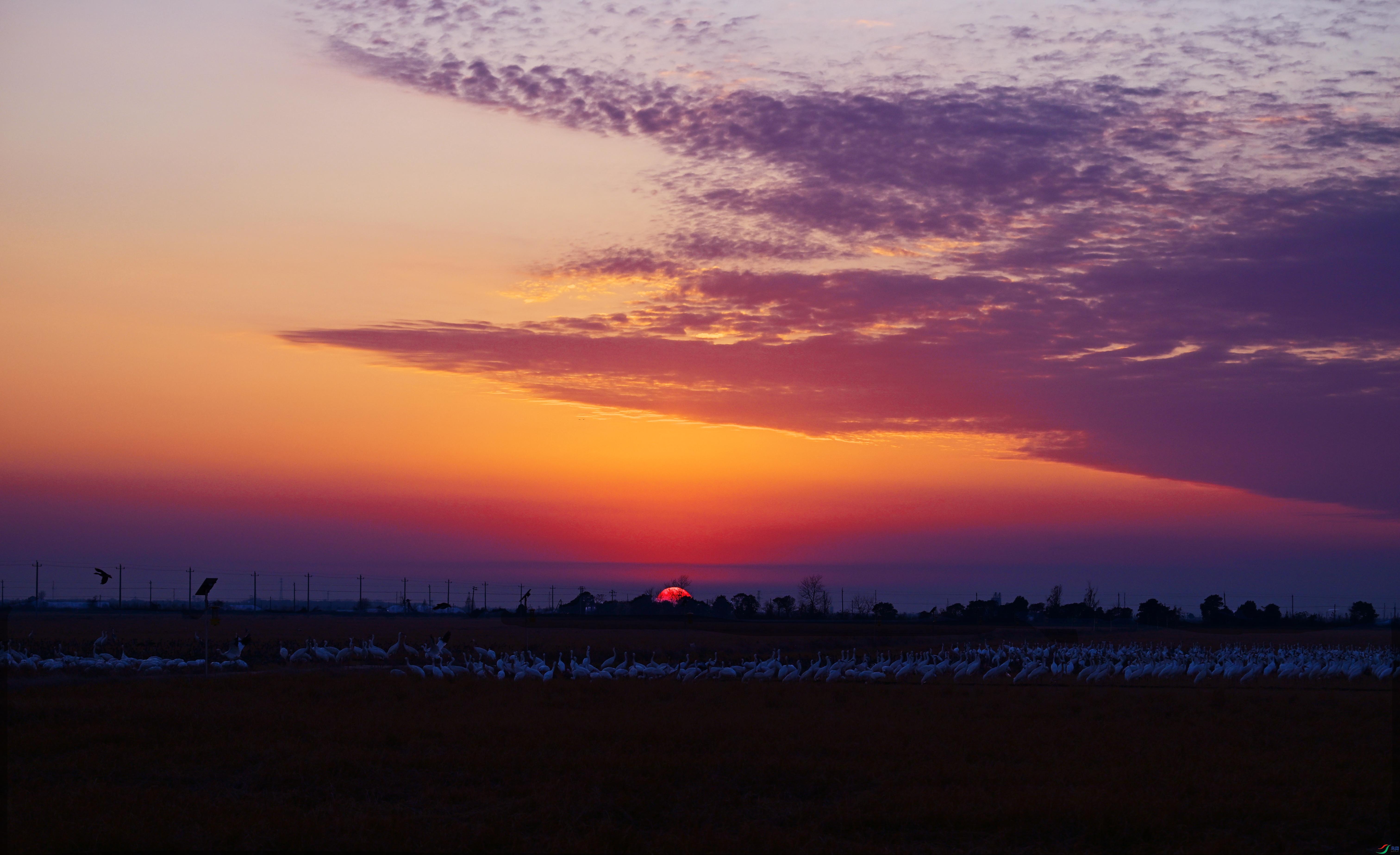 DSC_3594 ����.jpg