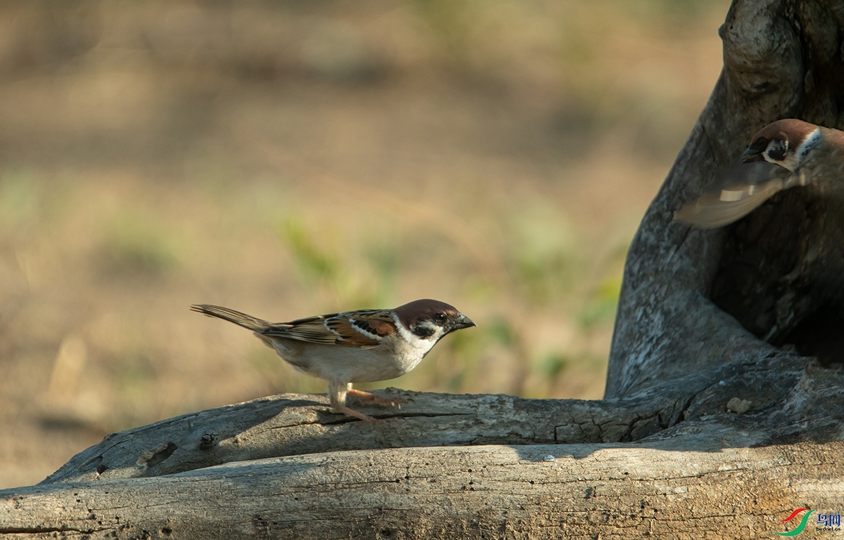 20230514 (31).jpg