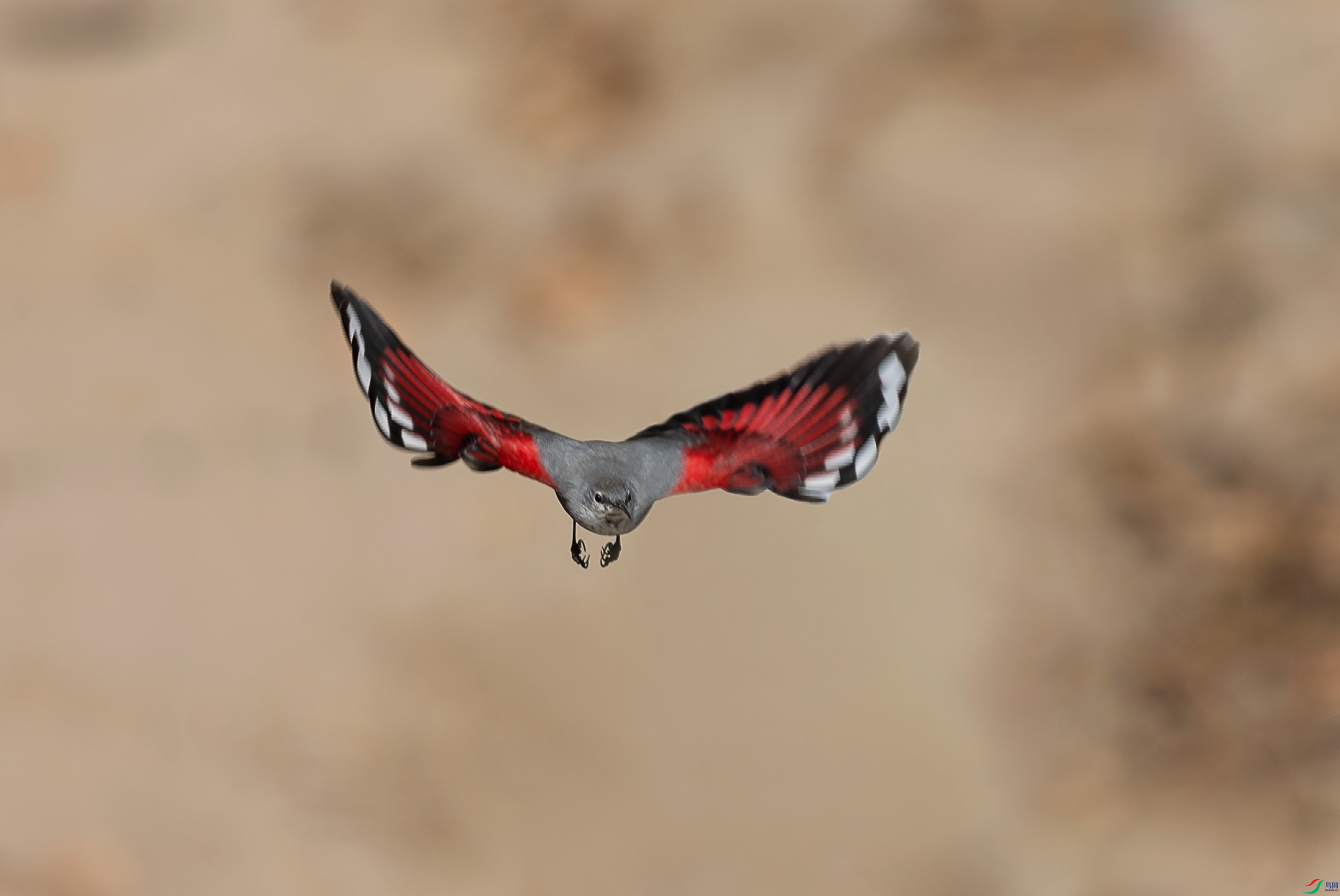 _V0A5145 ����.jpg