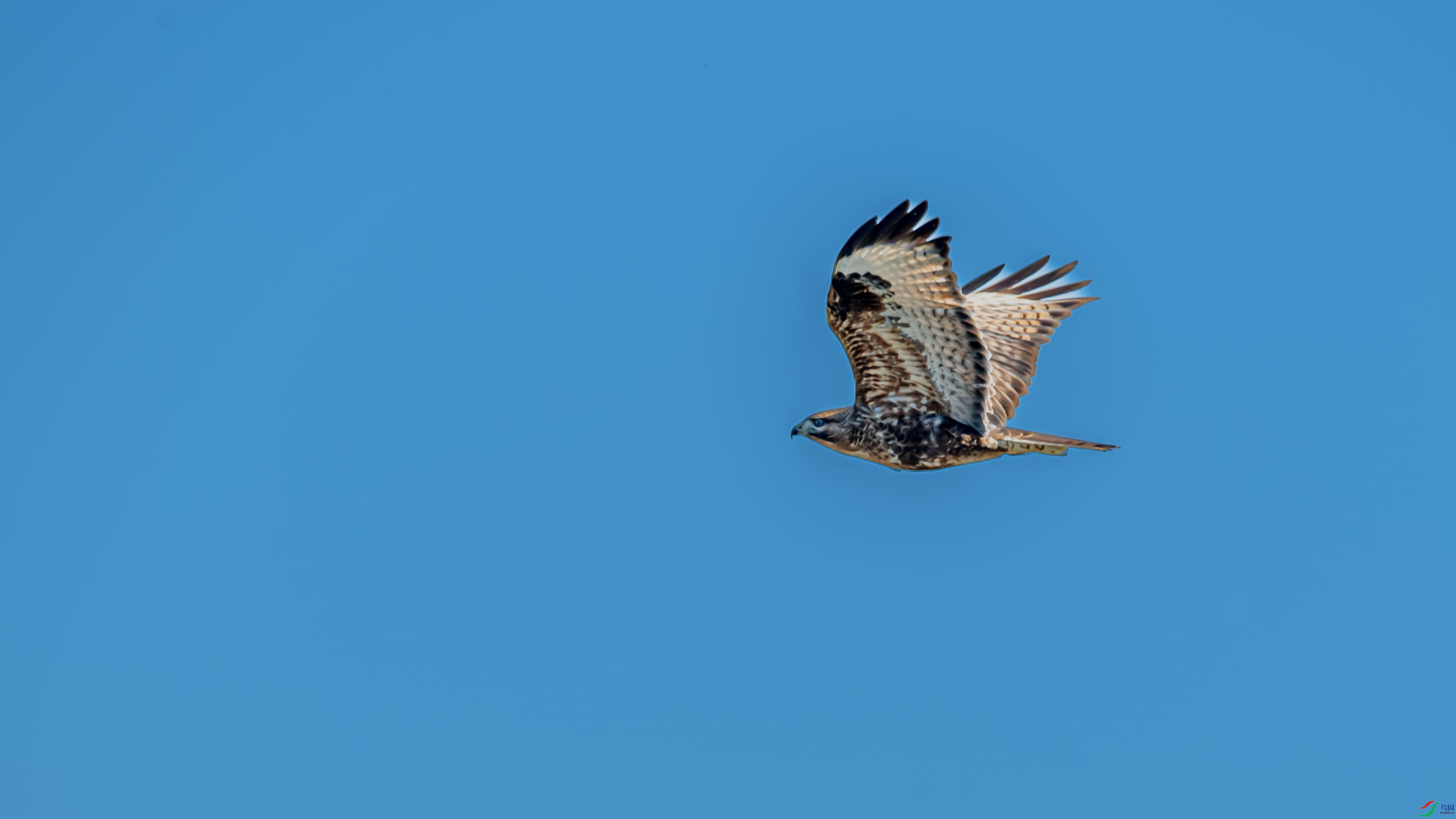 DSC_8779.jpg