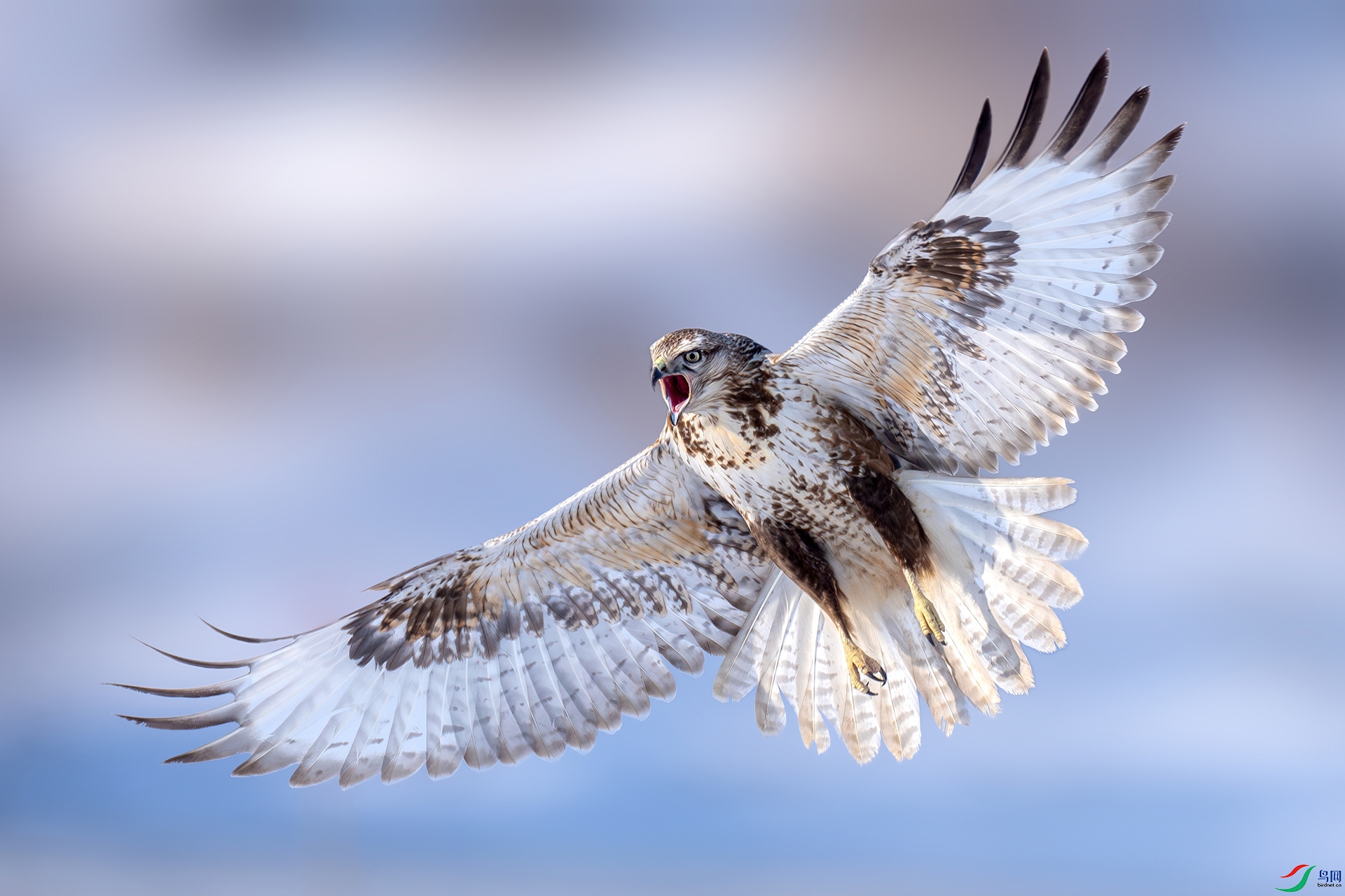 �ļ��� �� �|���.jpg