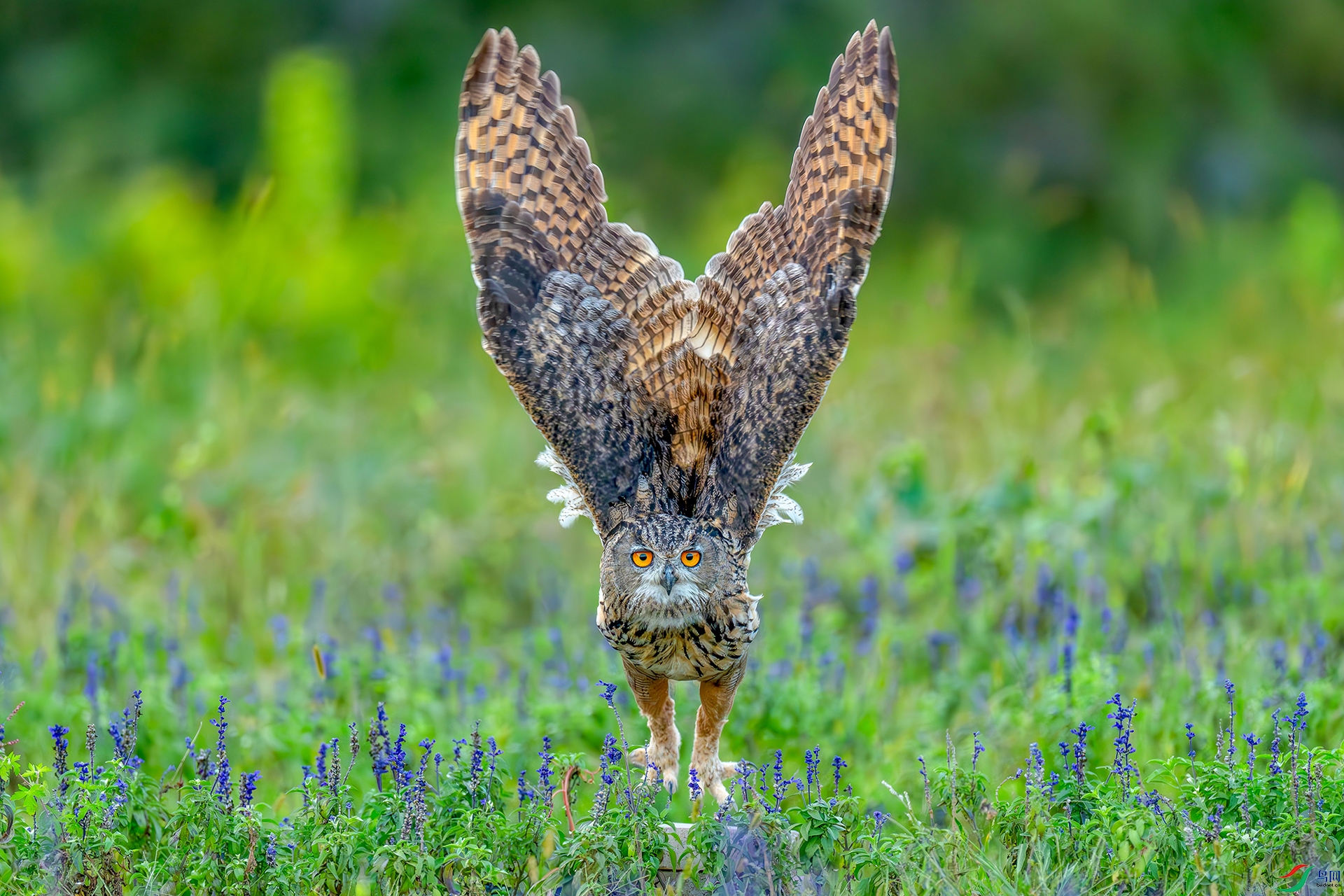 �ļ��� ���� �|���.jpg