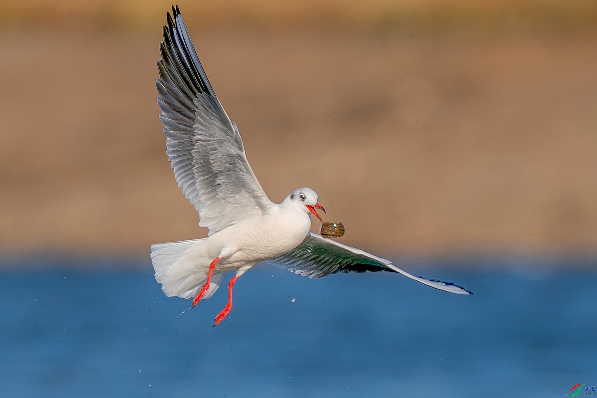 �ļ��� Ϸ �|���.jpg