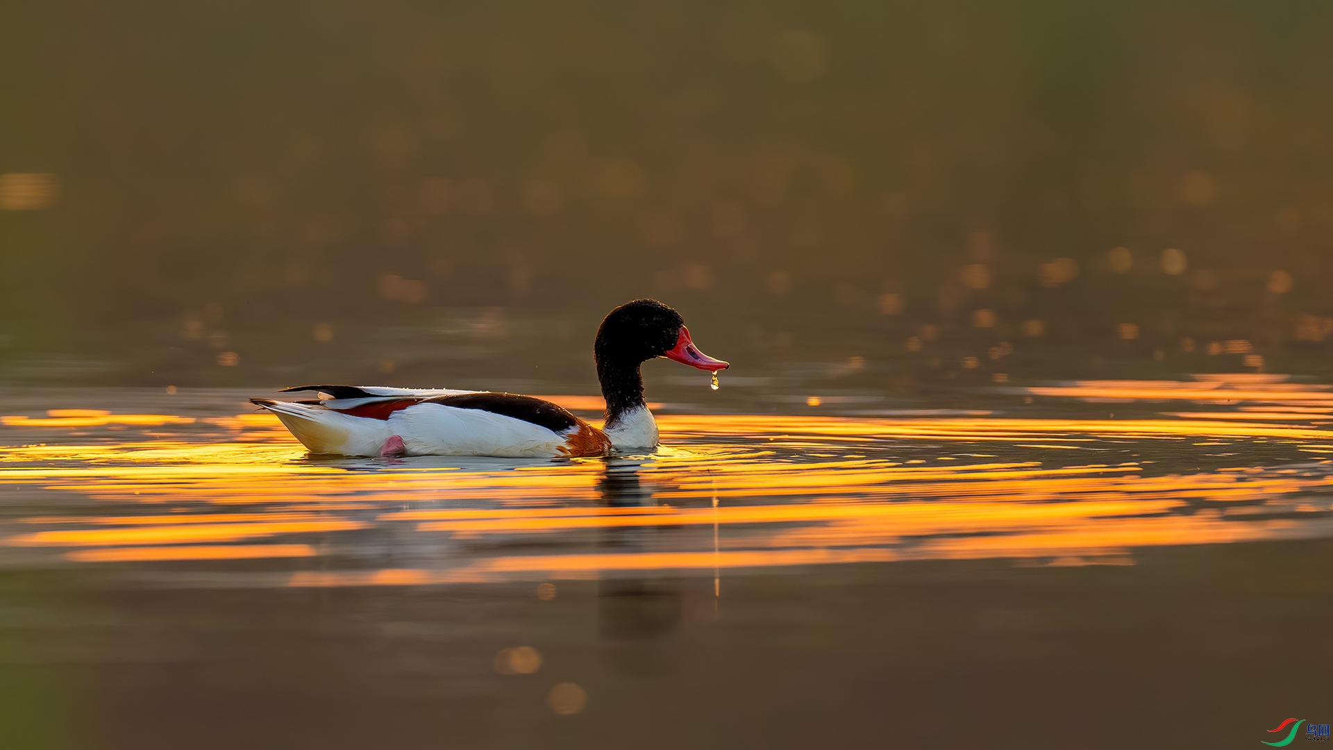 �ļ��� ���� �|���.jpg