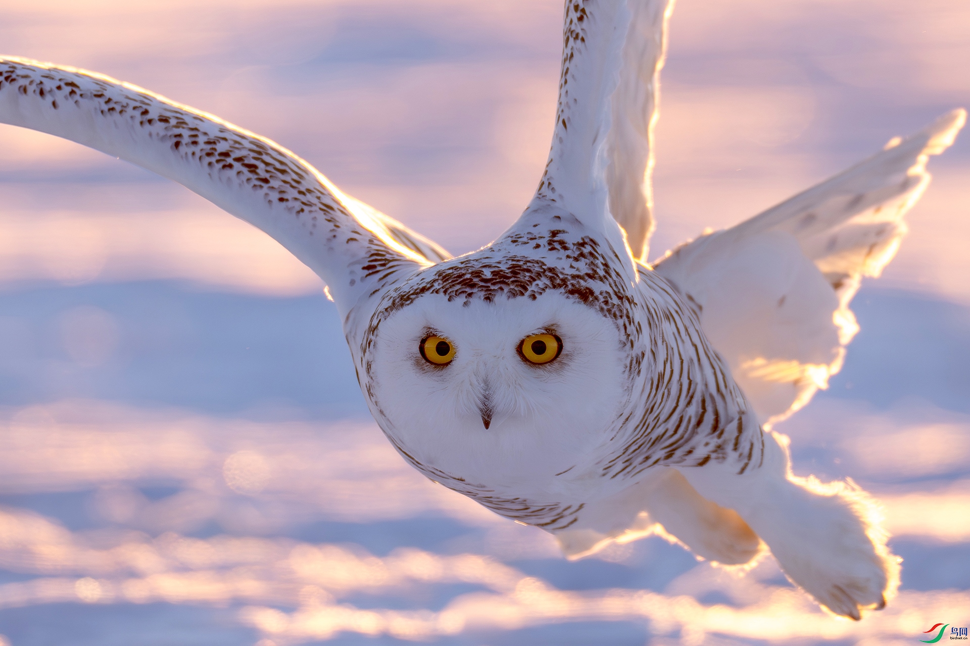 �ļ��� è �|���.jpg