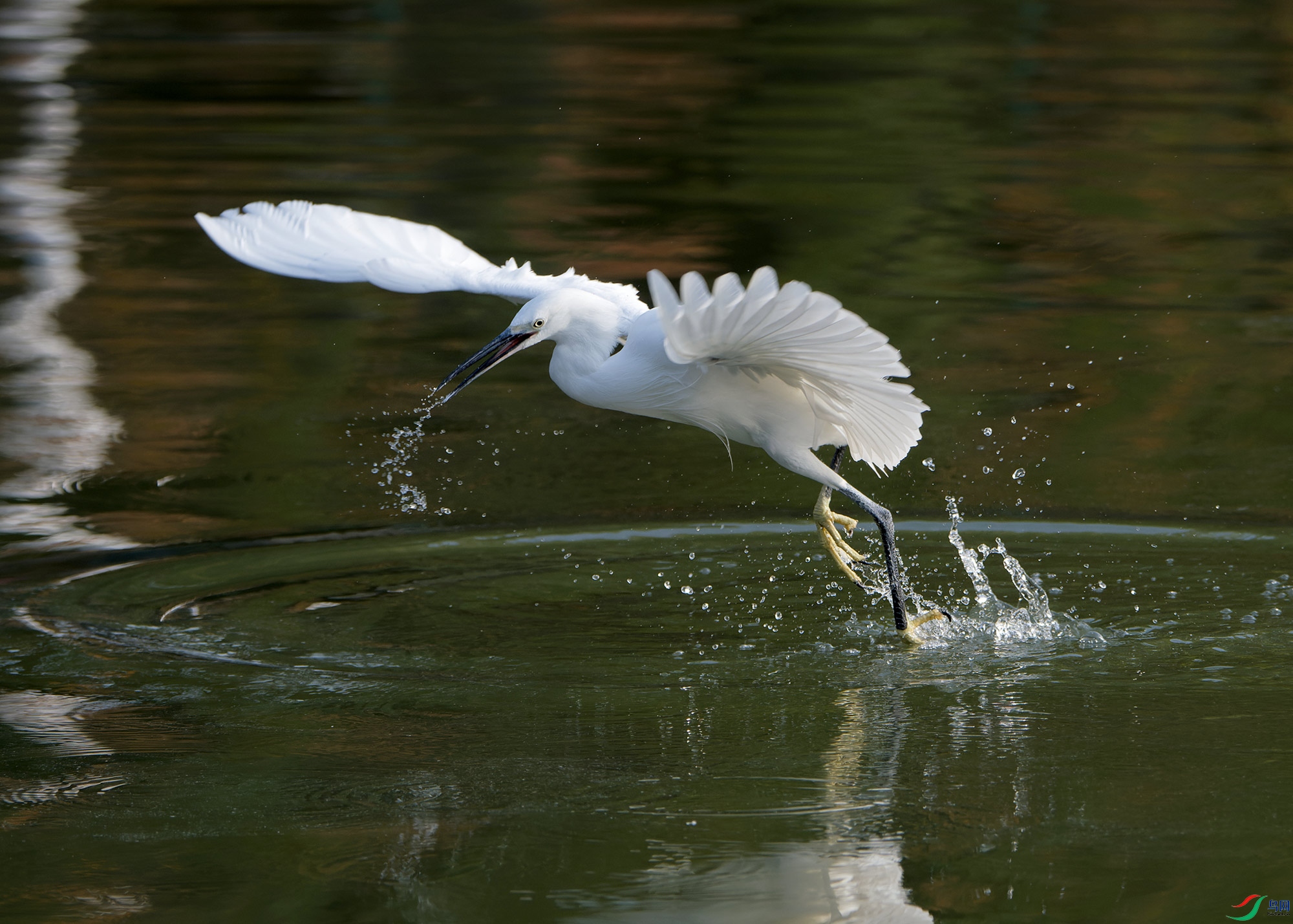 DSC_7582.jpg