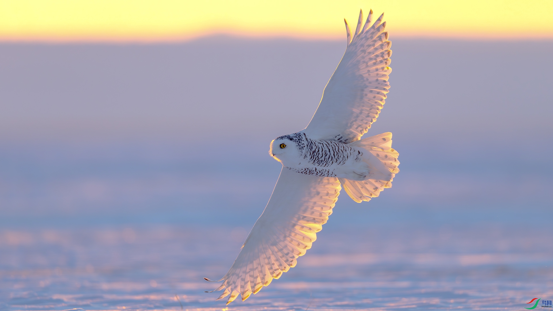 �ļ��� ��Խ �|���.jpg