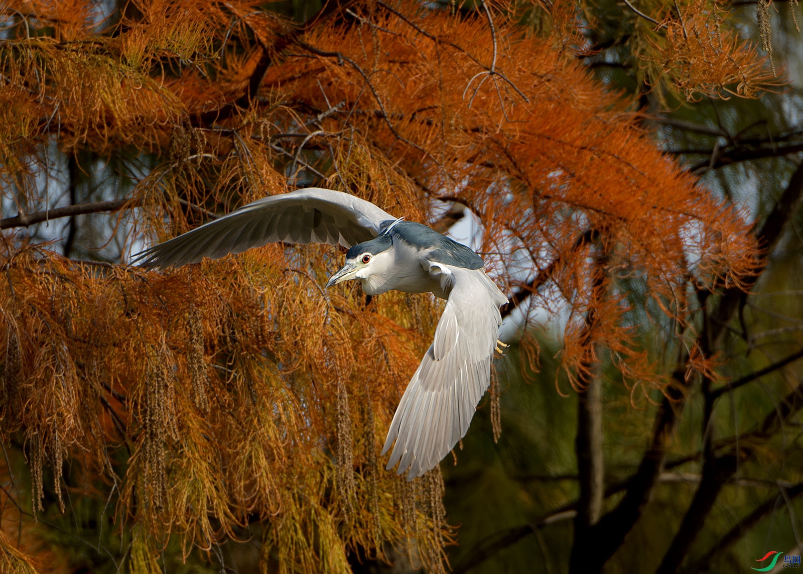 DSC_7754.jpg