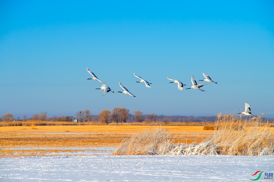 _DSC2226-1.jpg