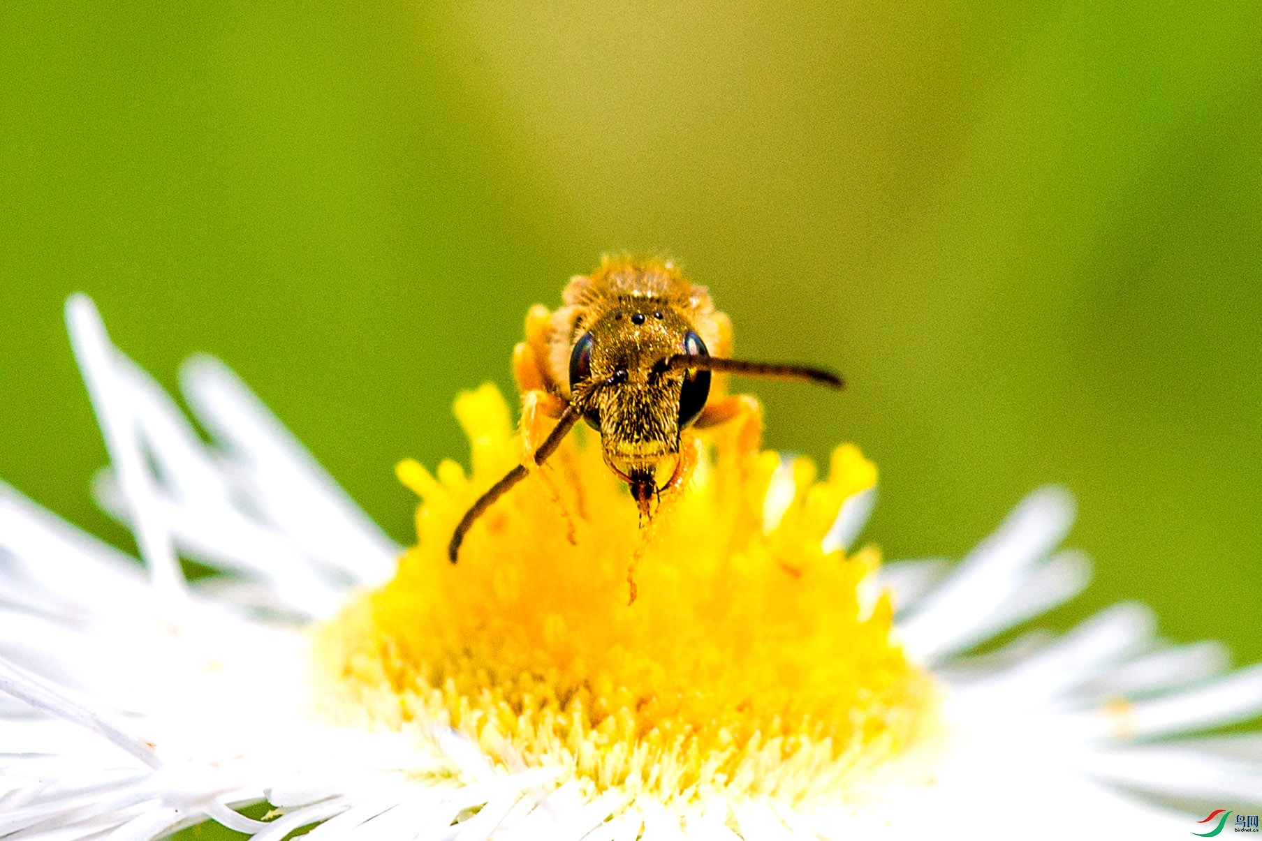 CU8B8024.jpg