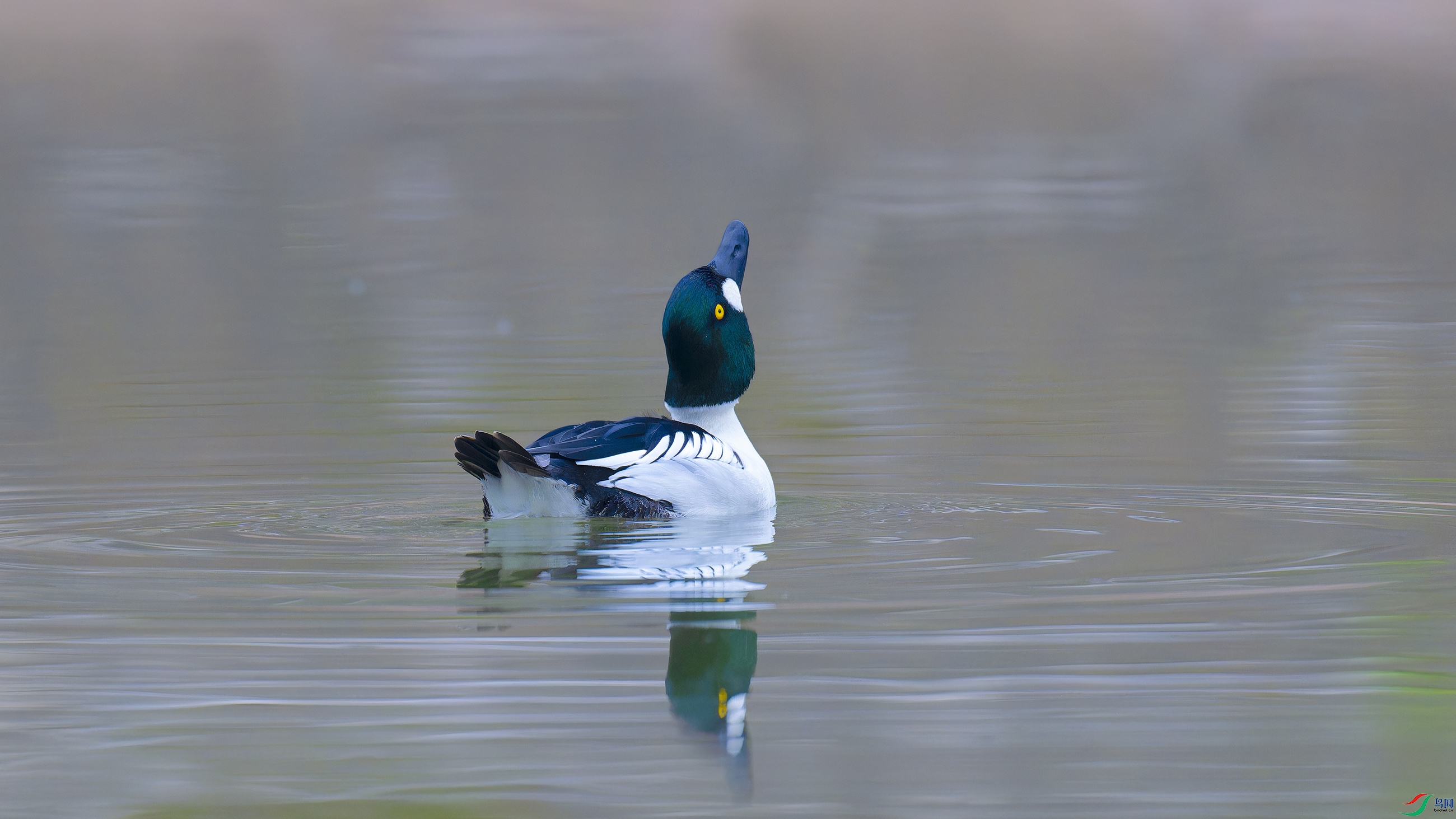 DSC_1157_DxO.jpg