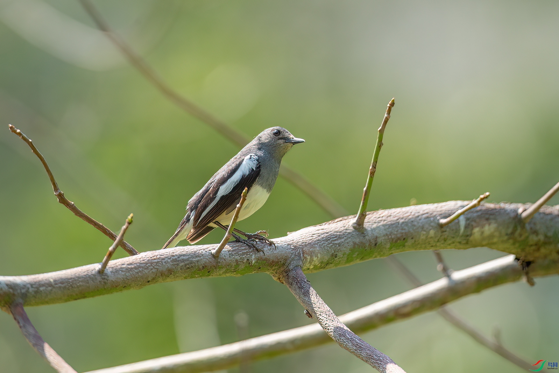 DSC_1347.jpg