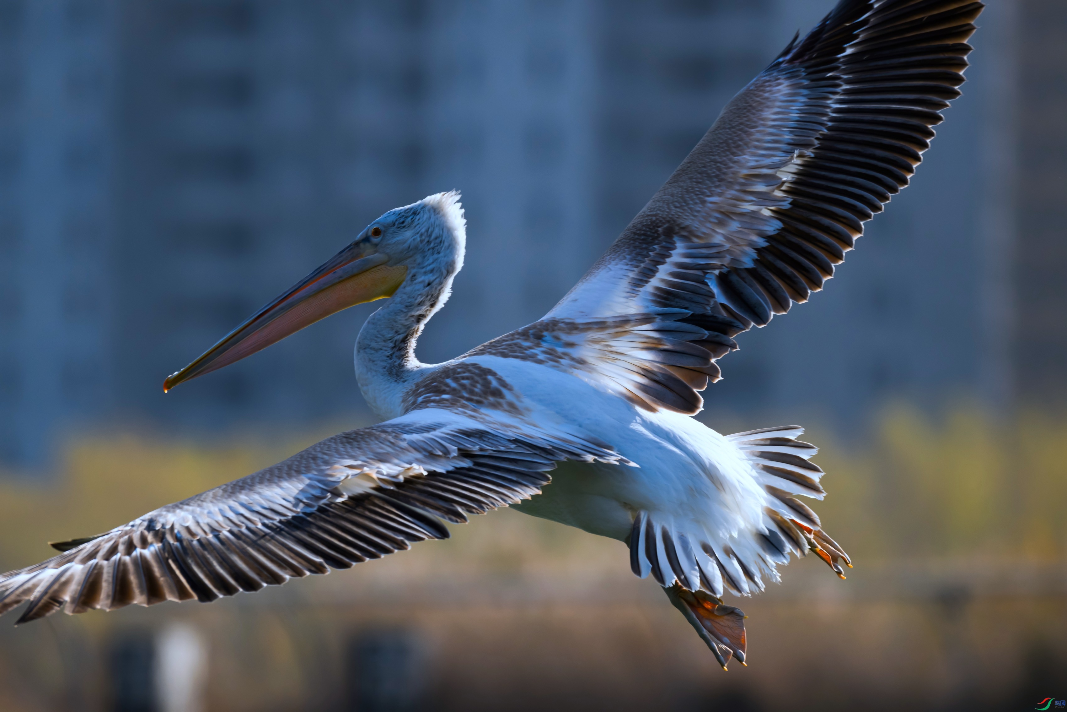 _DSC8326 ���� 3.jpg