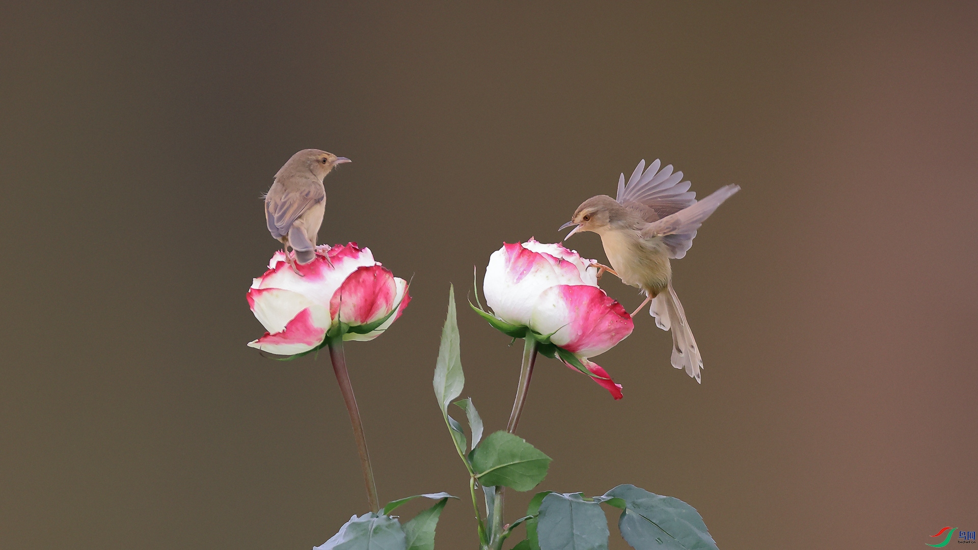 1M6A5727 ����_����.jpg