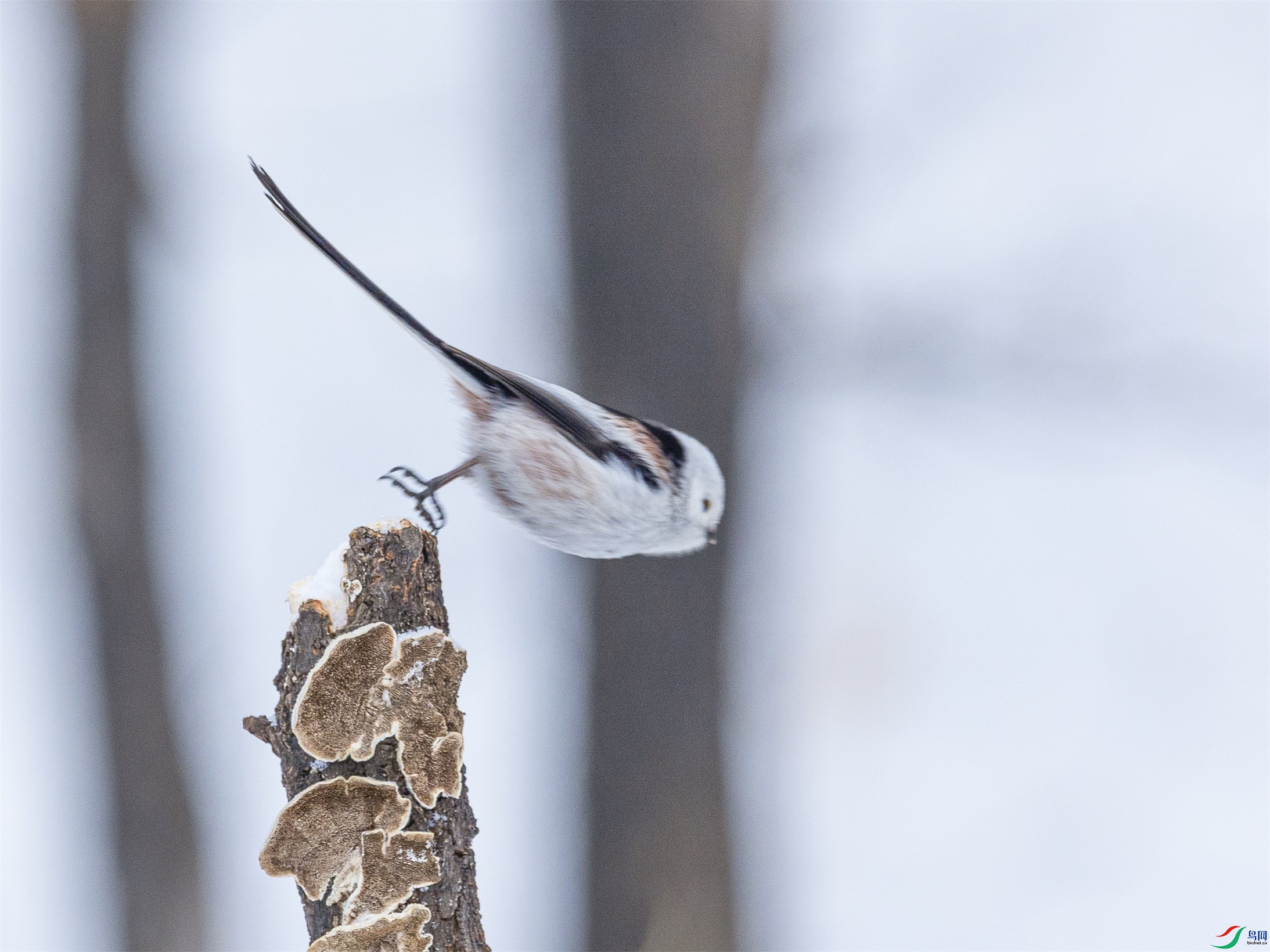 1K3A0662 ����1.jpg