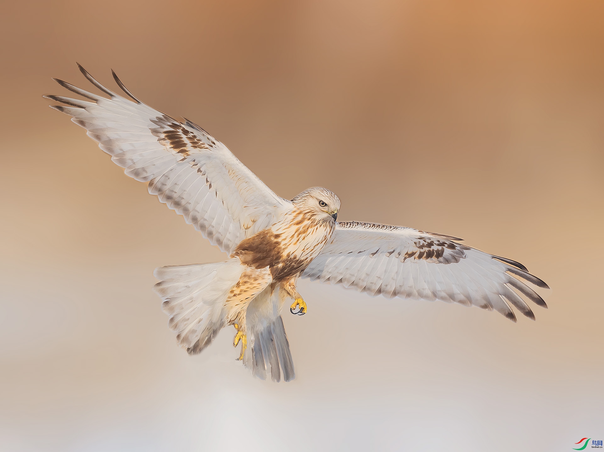 019A1621 ����.jpg