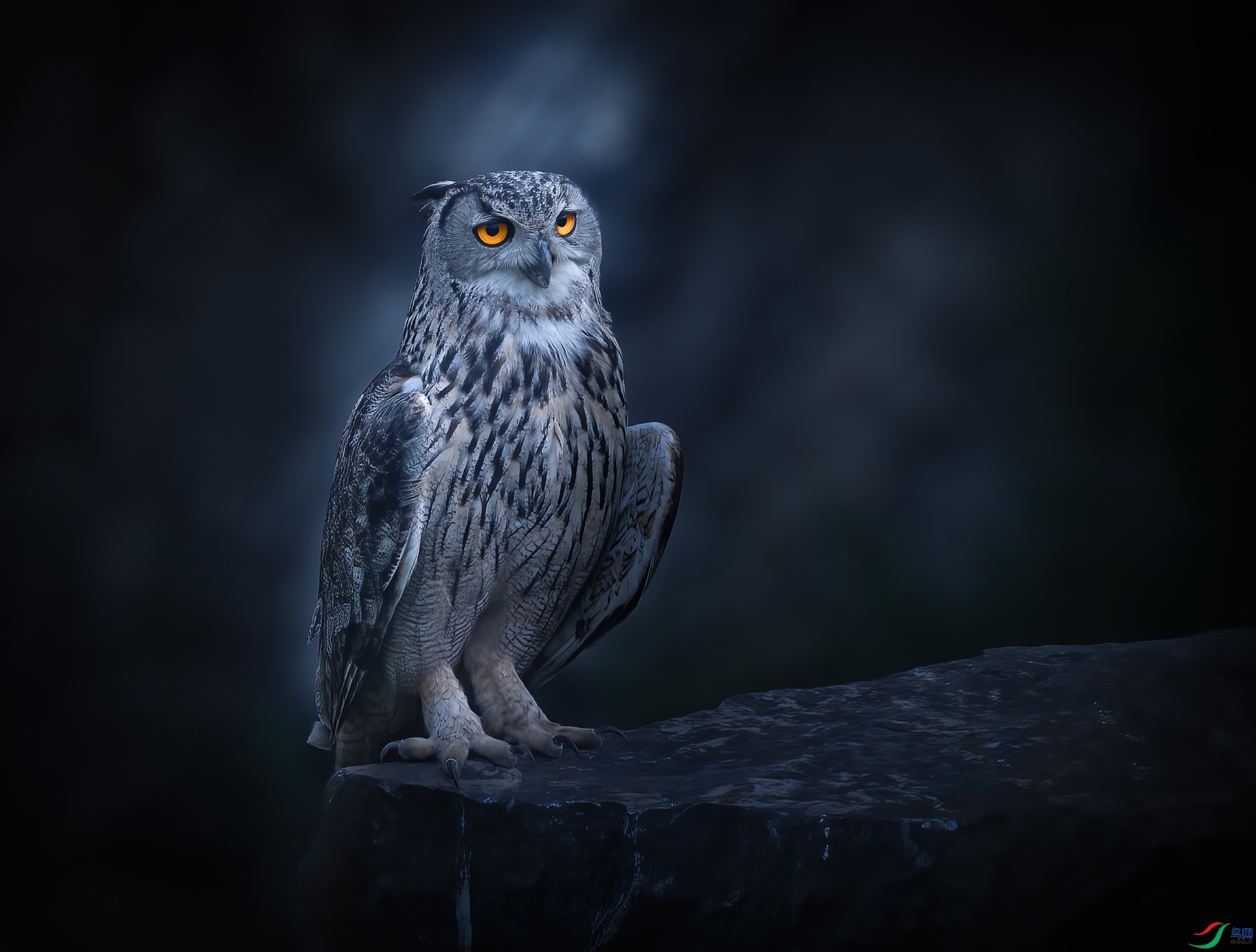 DSC01503 ����..jpg