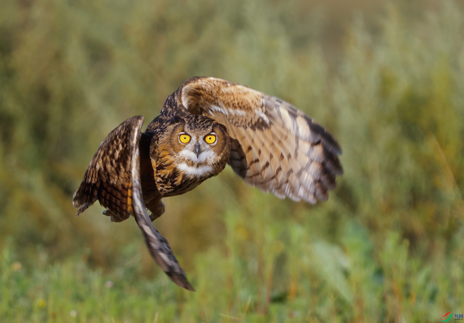 DSC05300 ����.jpg