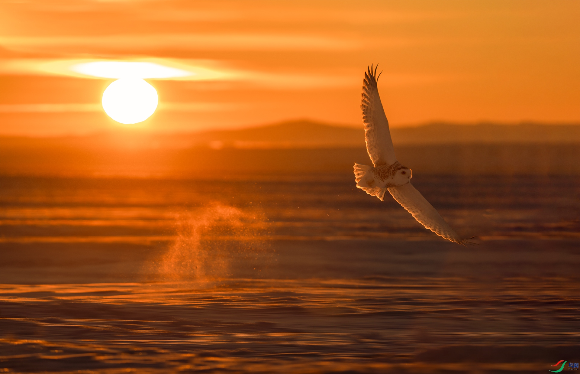 DSC06681 ����.jpg