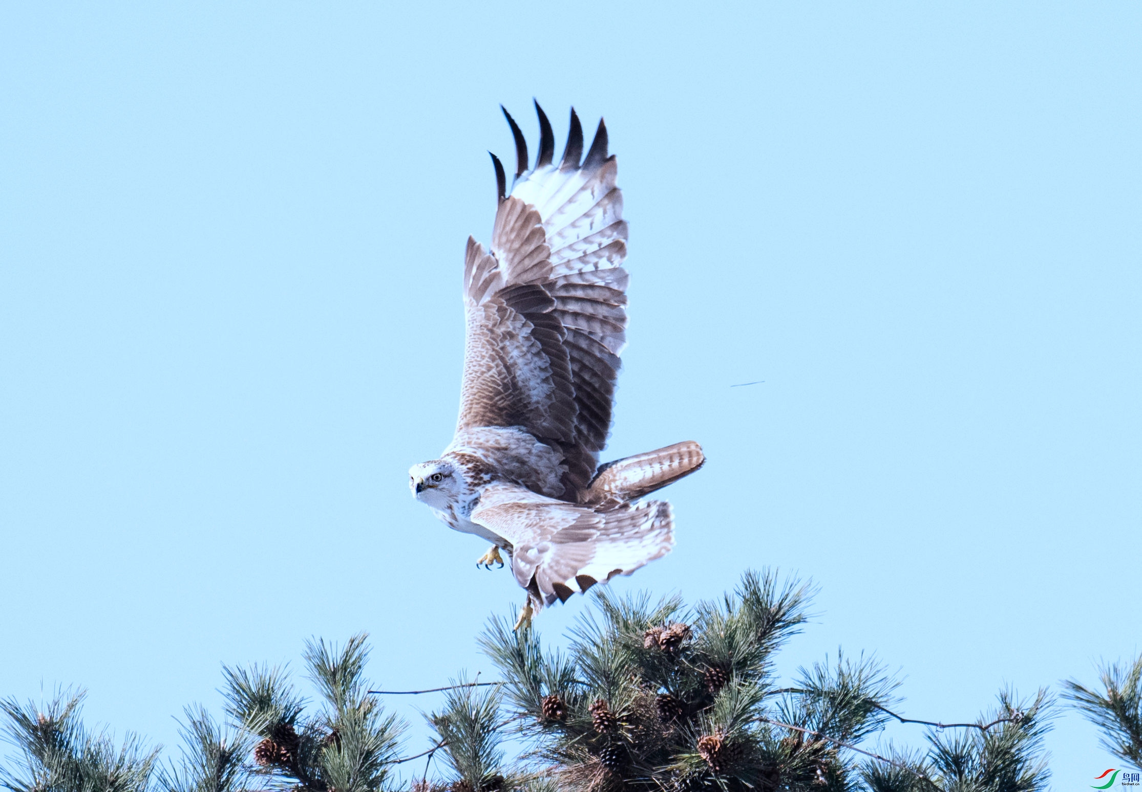 DSC_2973 ����_����.jpg