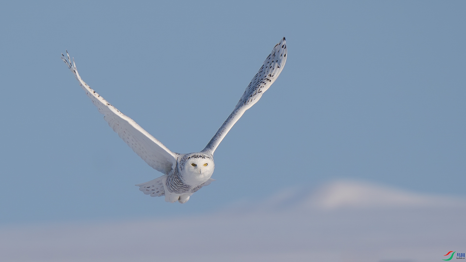 DSC05889 ����.jpg