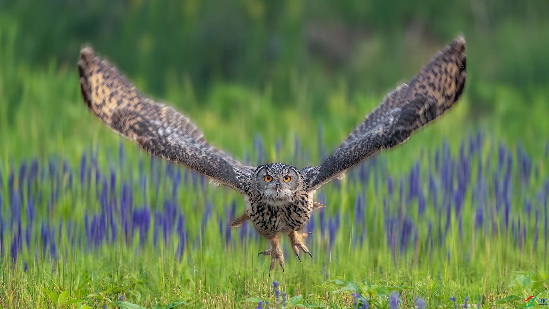 DSC06543 ����.jpg