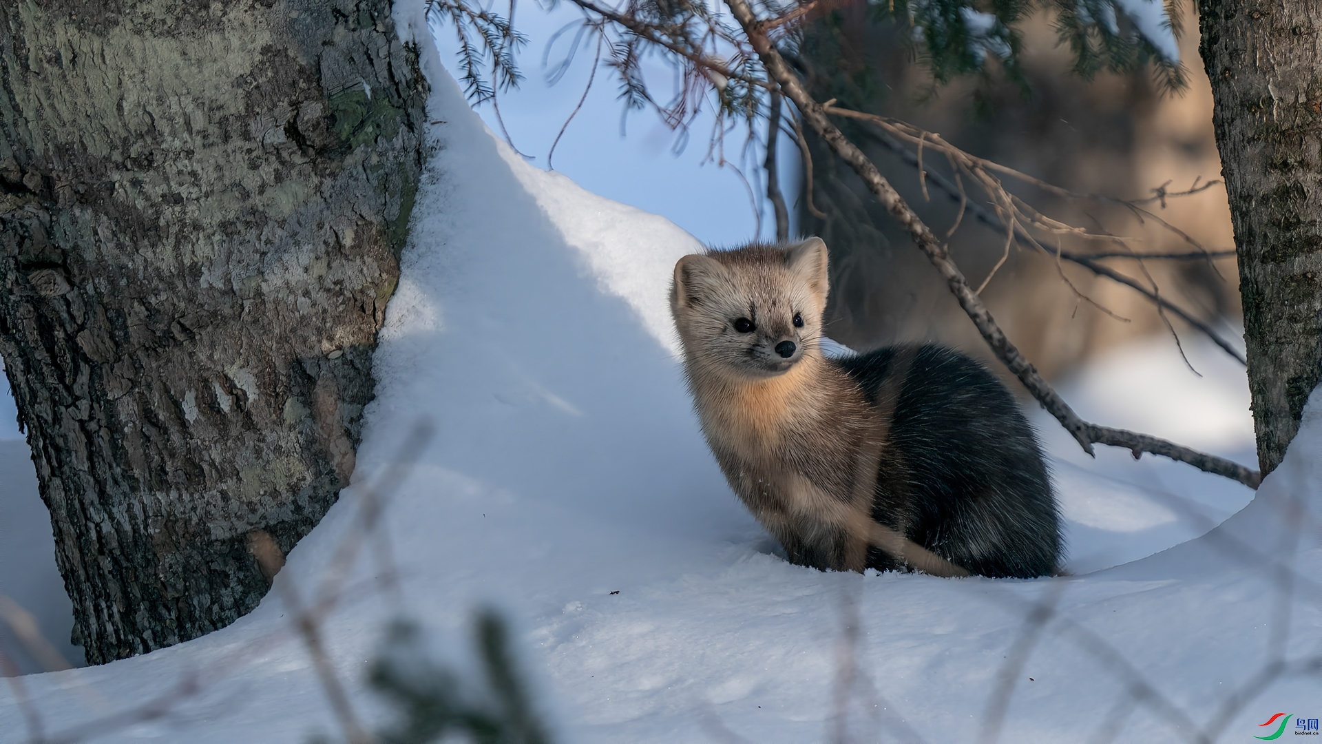 DSC08605 ���� 2.jpg