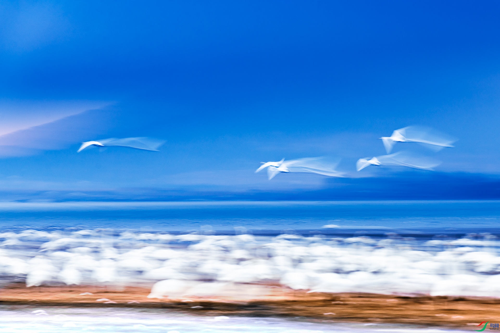 ����+����+D3EYE