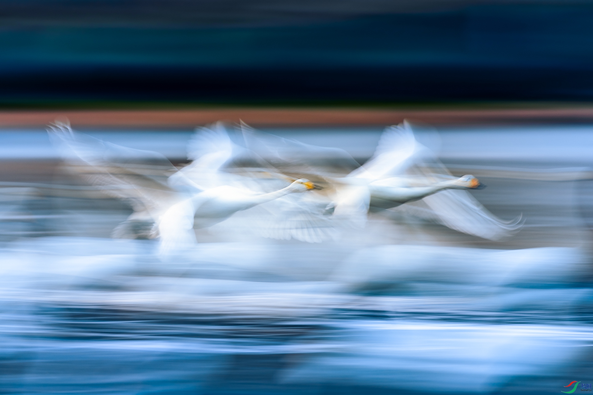 �ļ���+��۵�ֿ+D3EYE