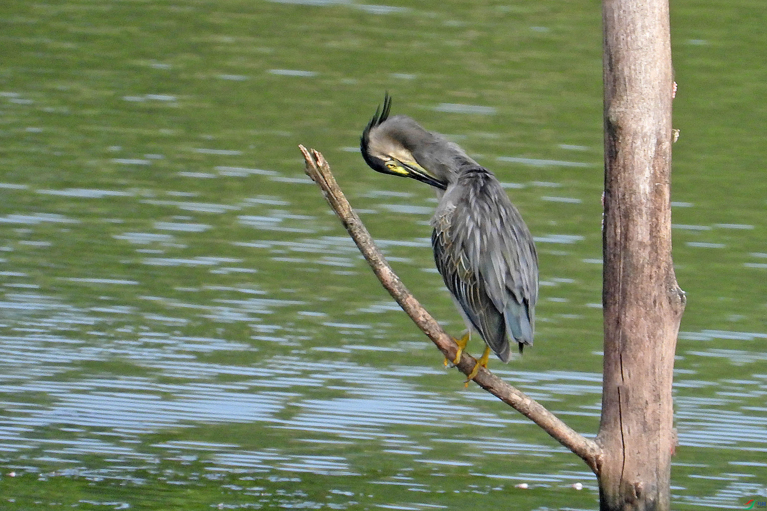 DSCN9196.JPG