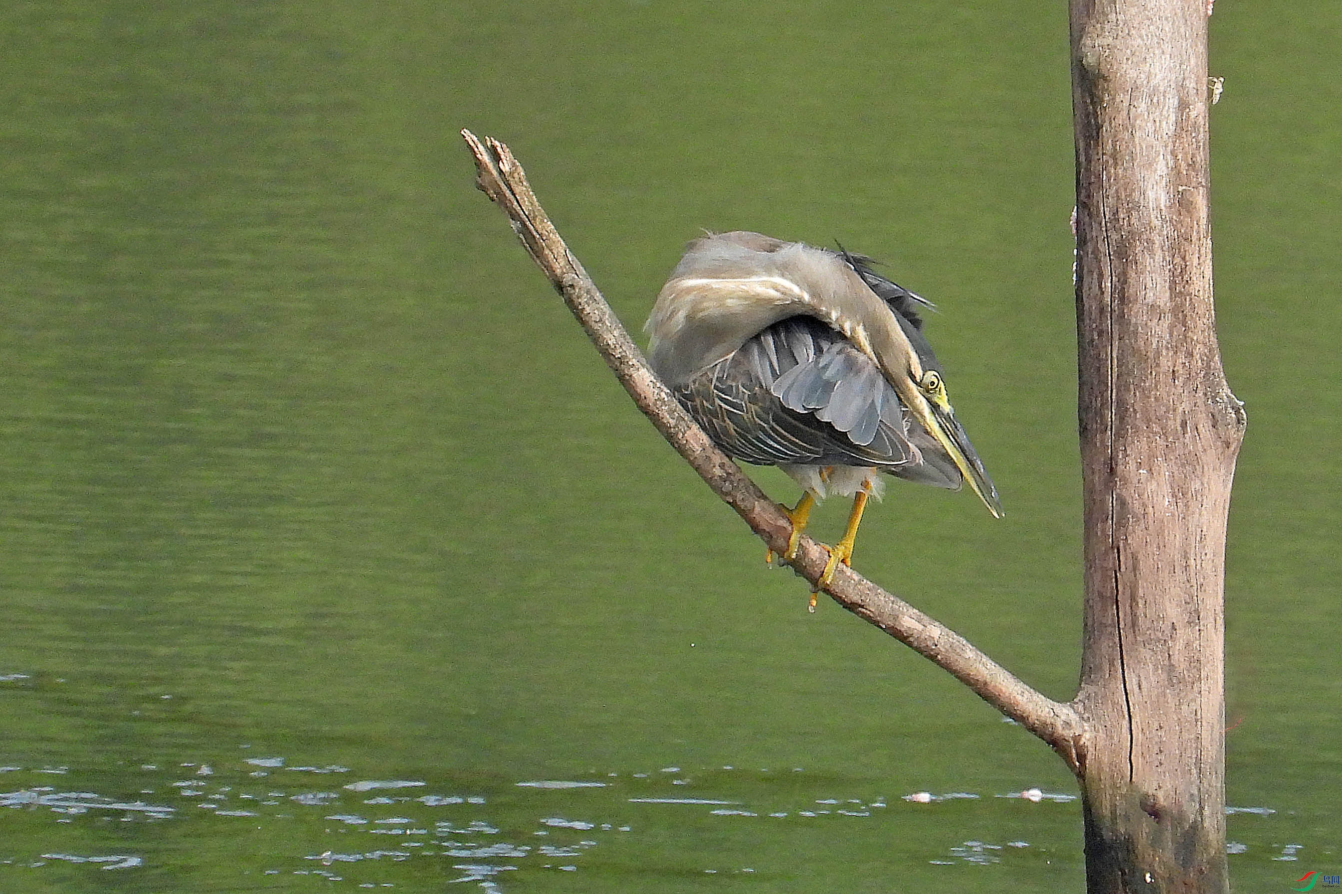 DSCN9192.JPG