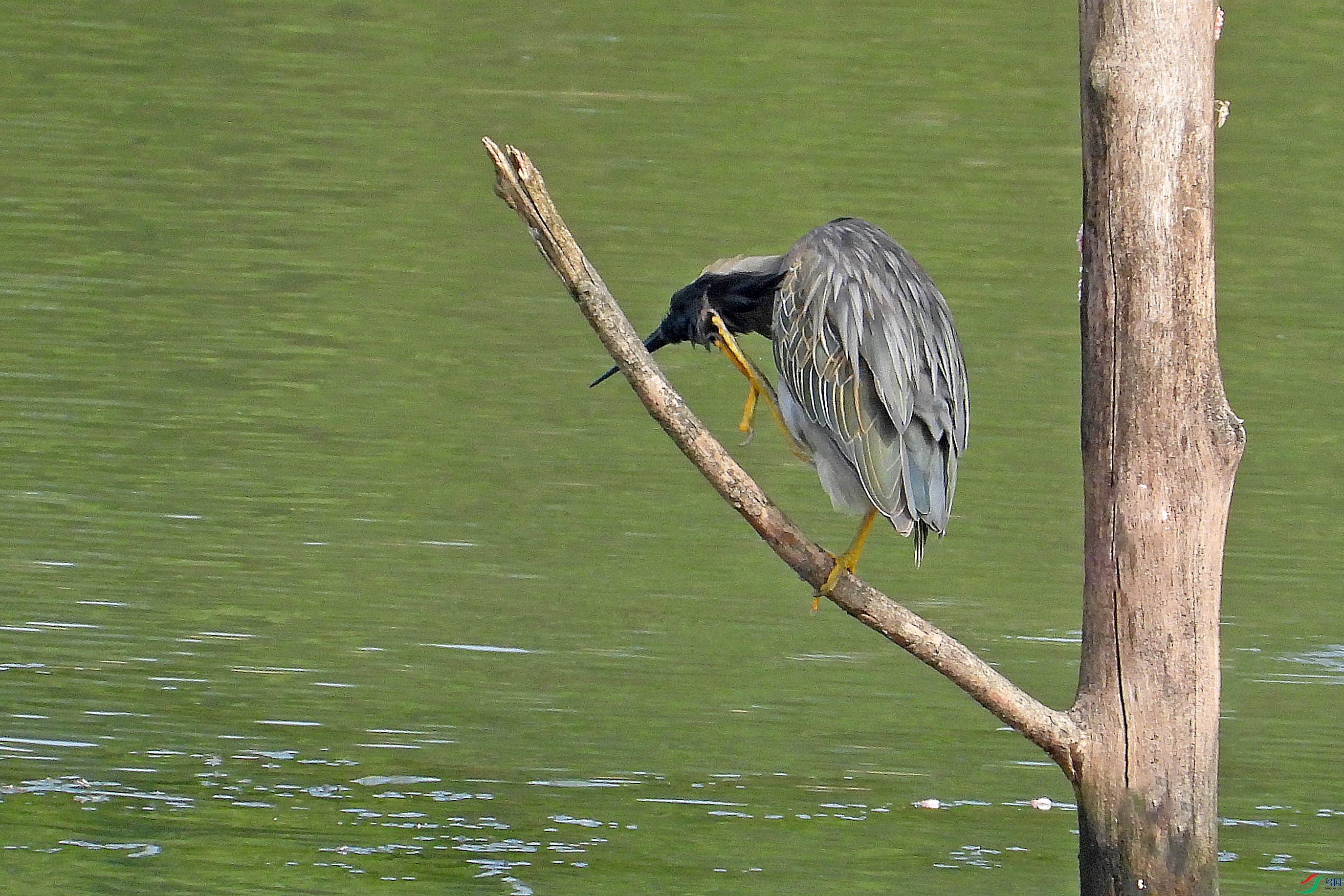 DSCN9203.JPG
