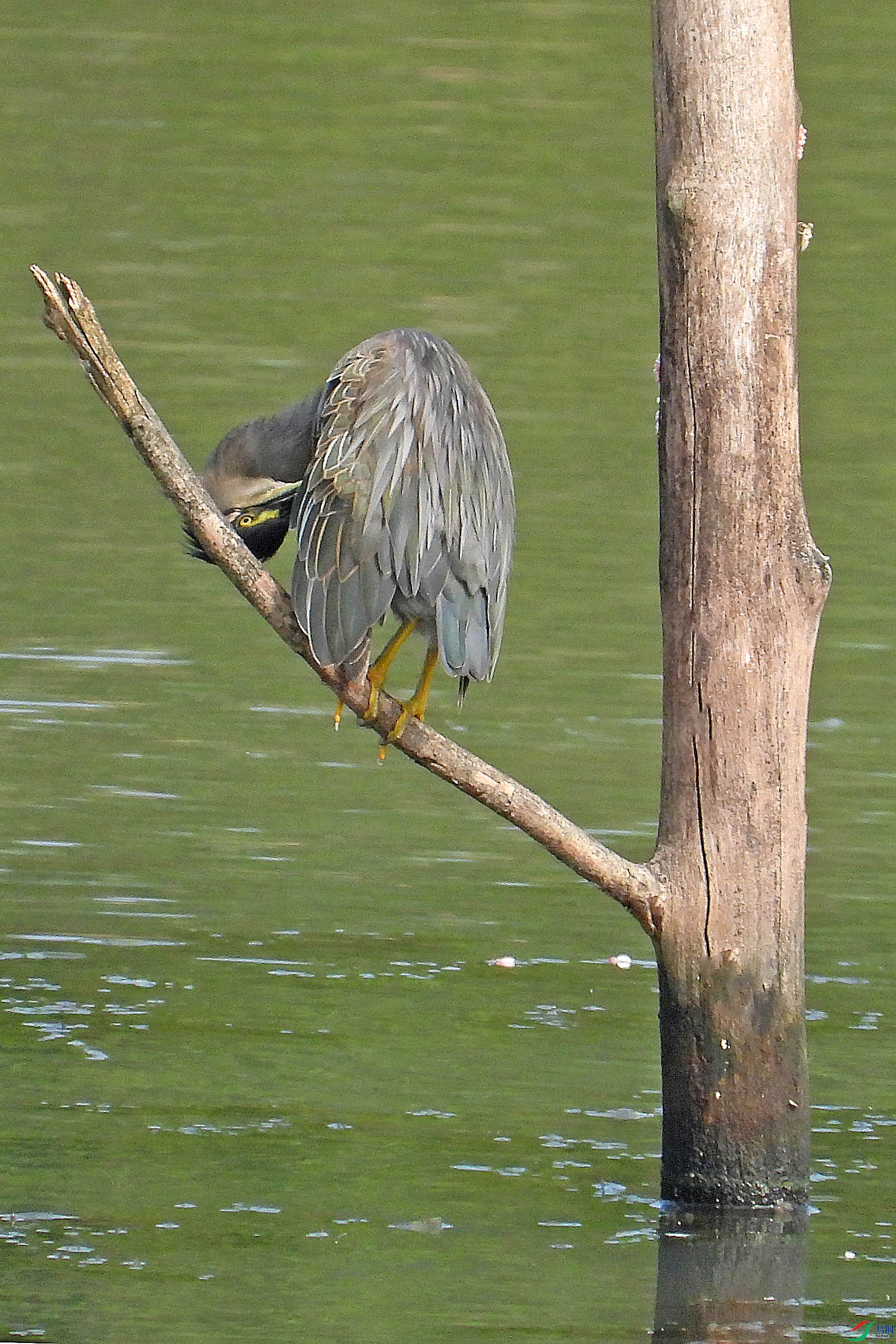DSCN9208.JPG