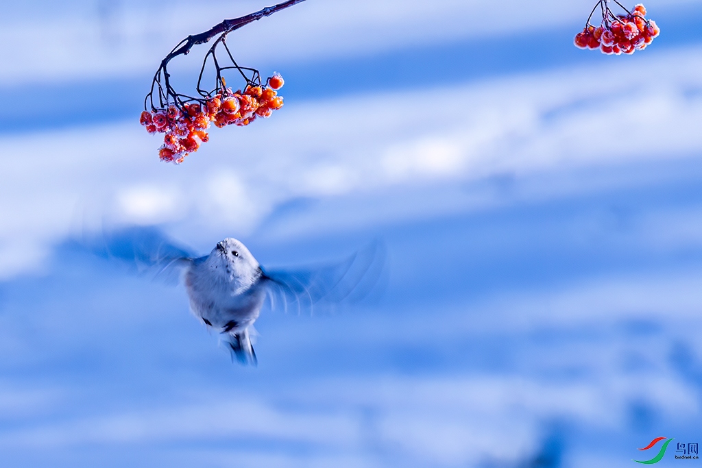 hljdqR231221 (1565).jpg