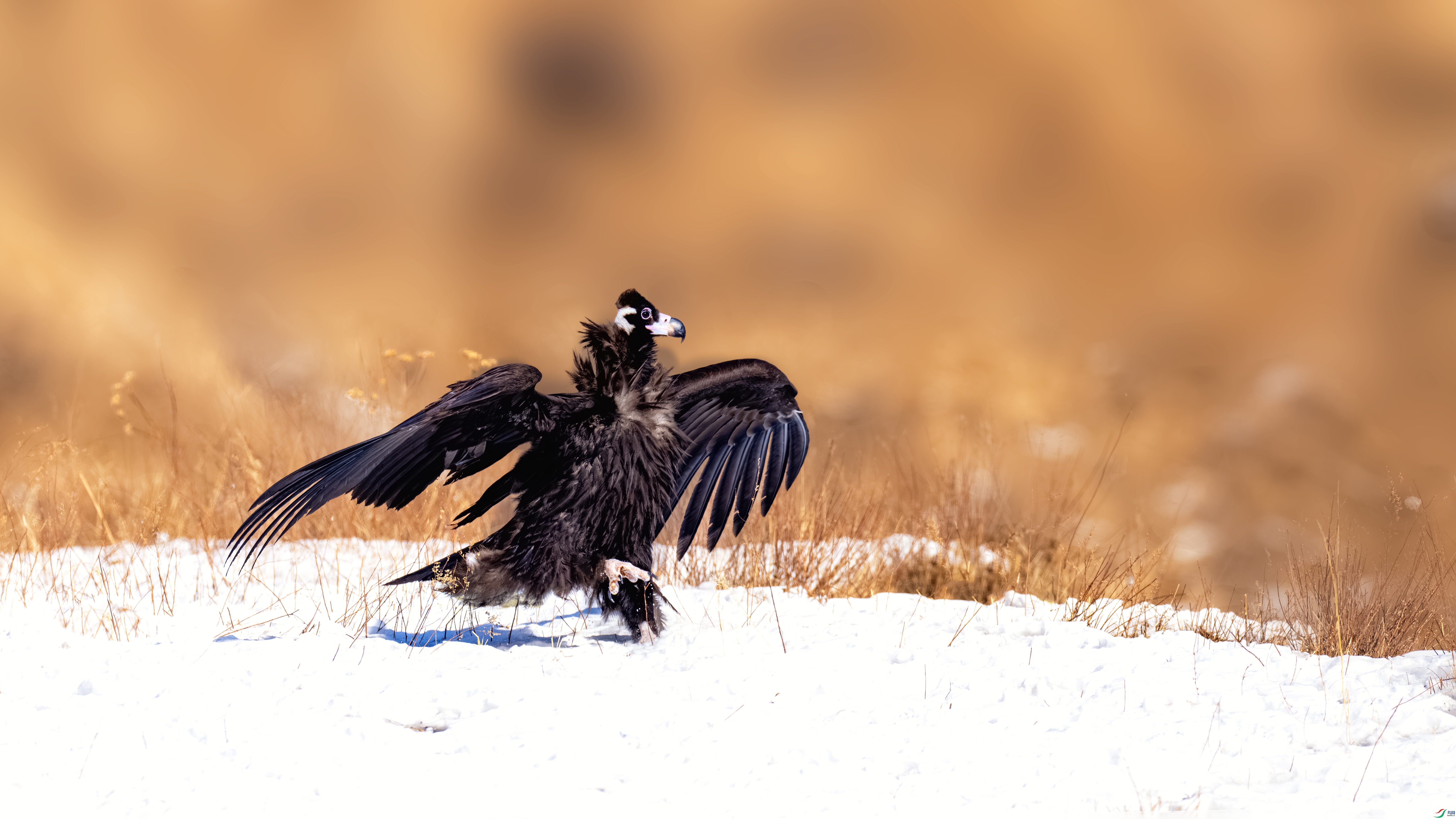��������硷_DSC7747- ����1.jpg