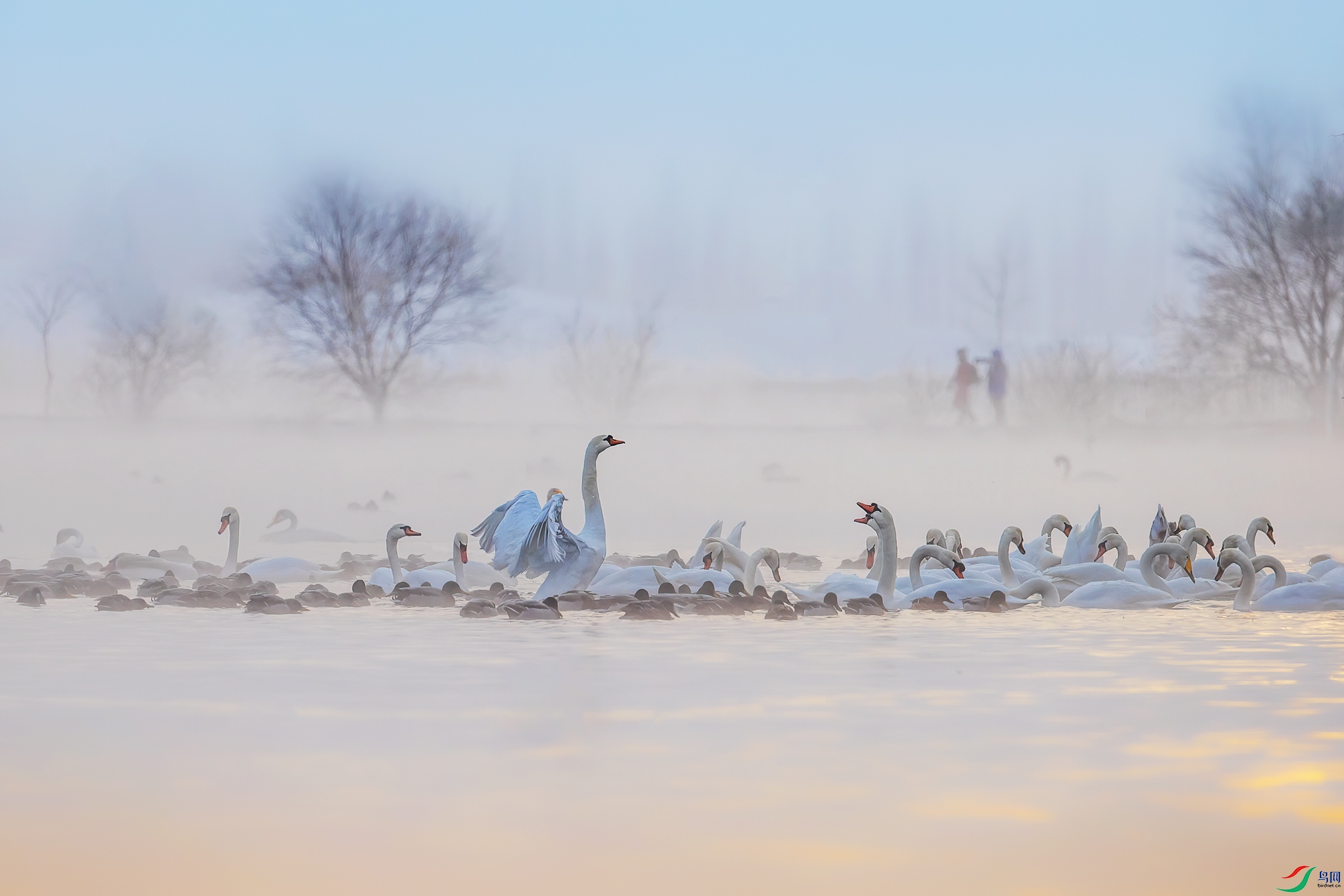 6R9A7028.jpg