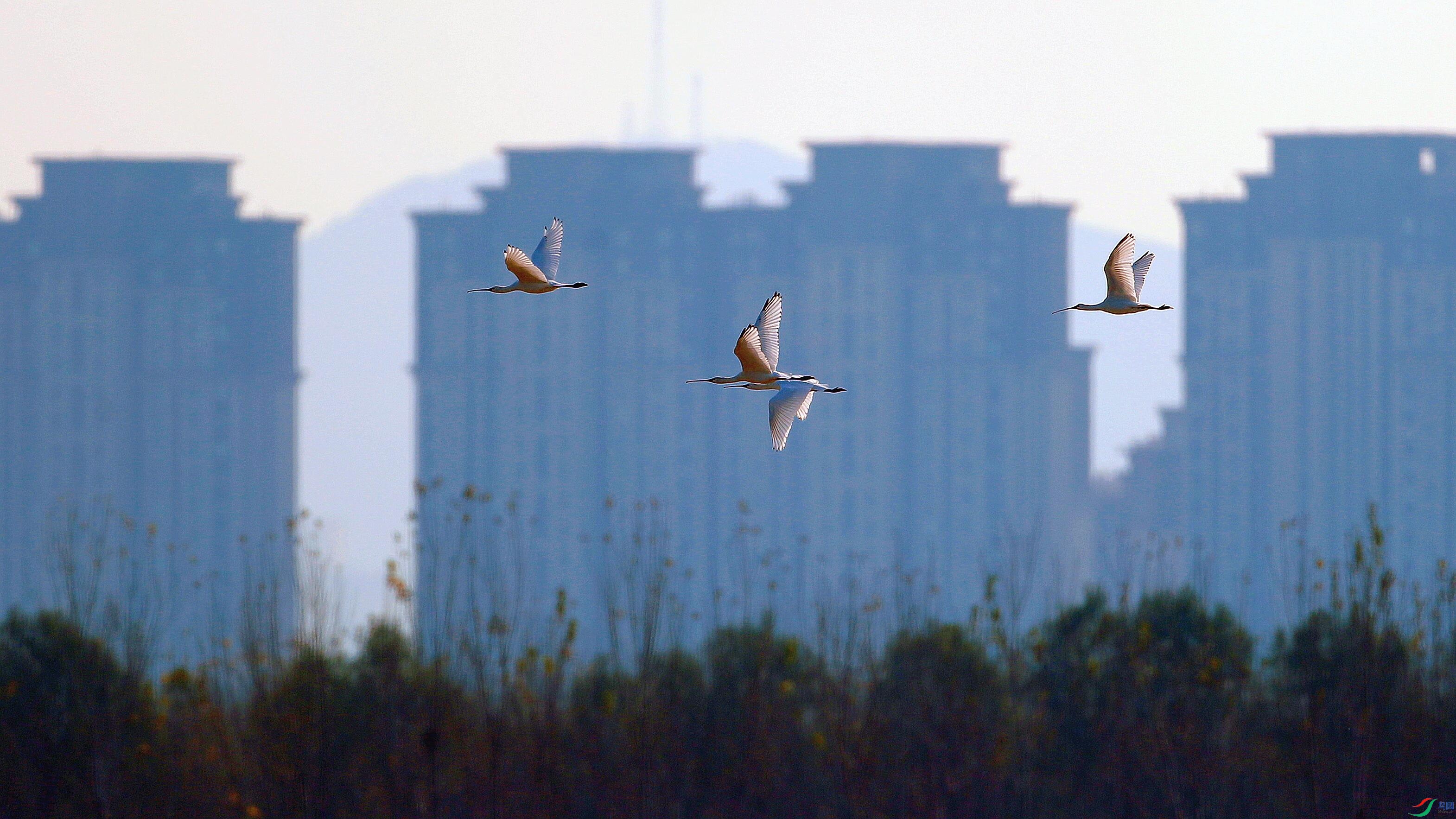 AS8I8224_����.jpg