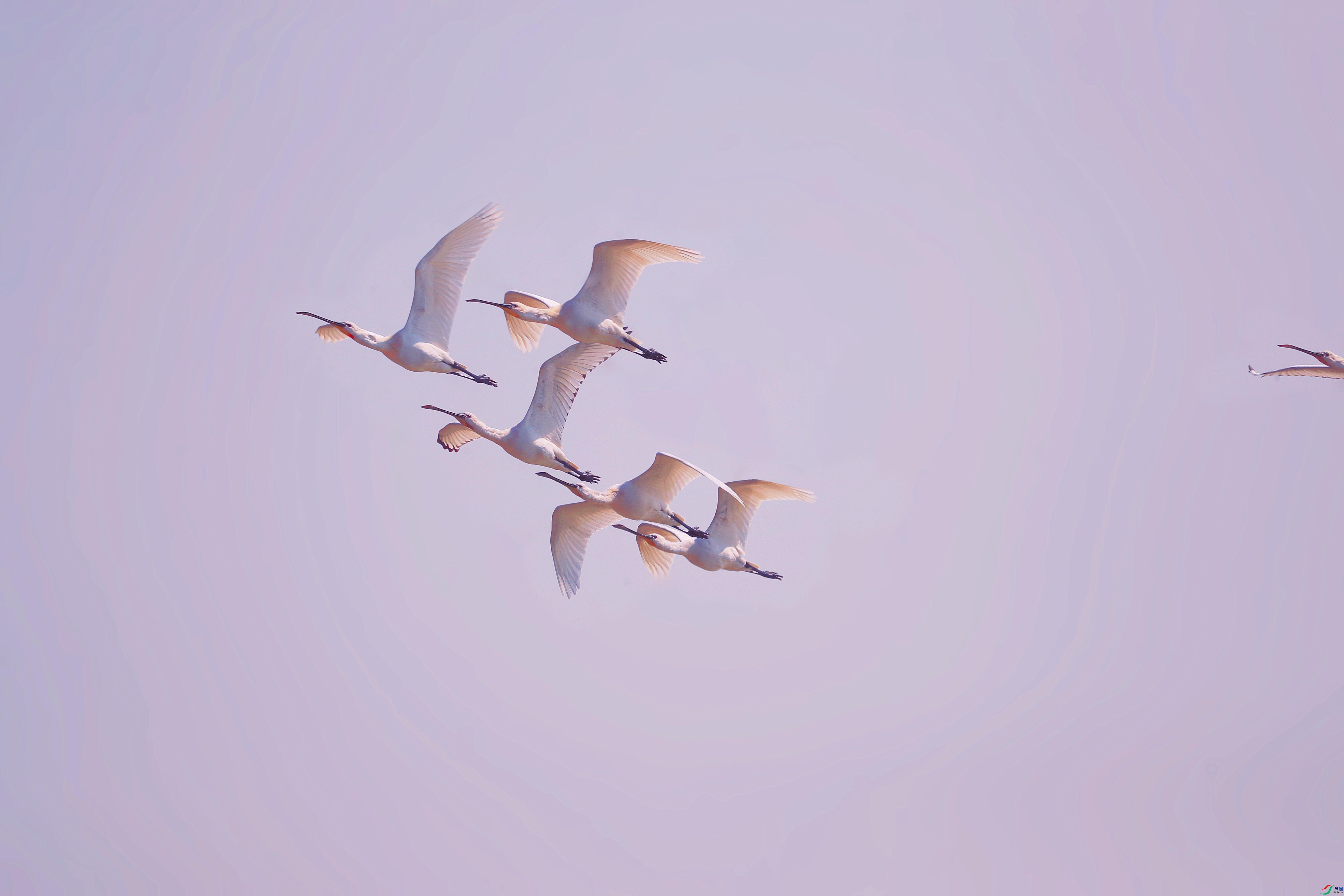 AS8I2986_����.jpg