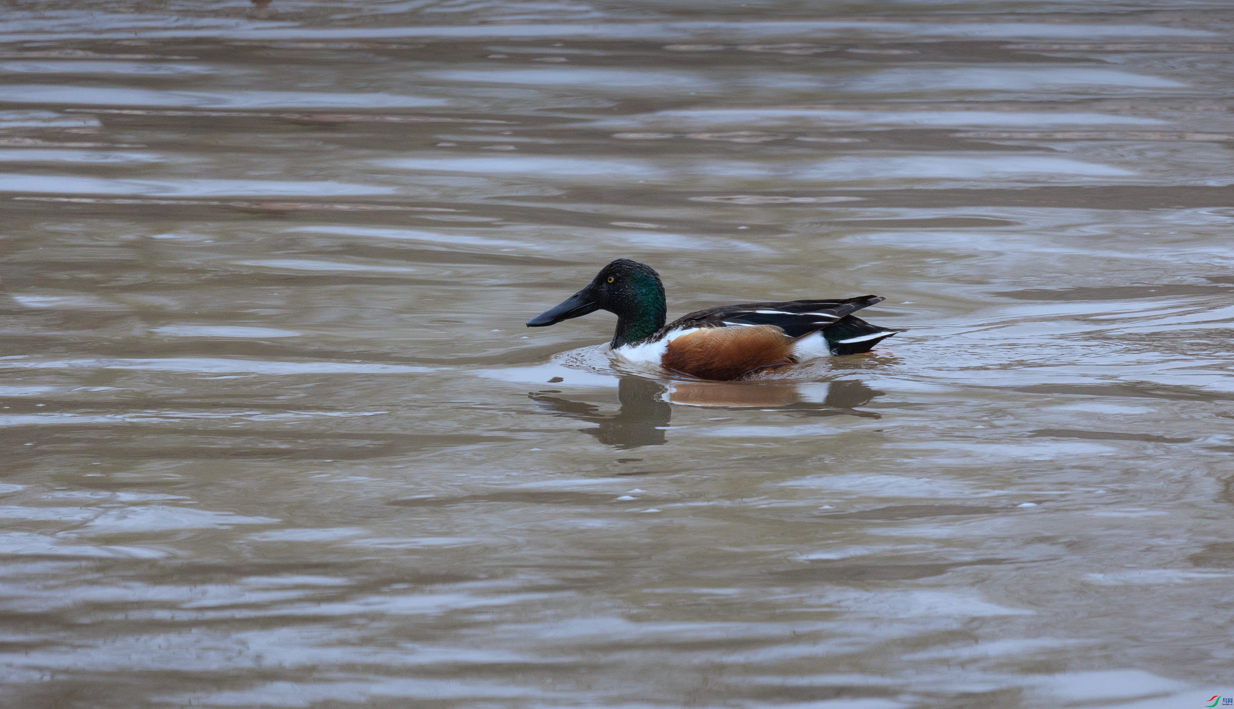 381A9007 - ����.jpg