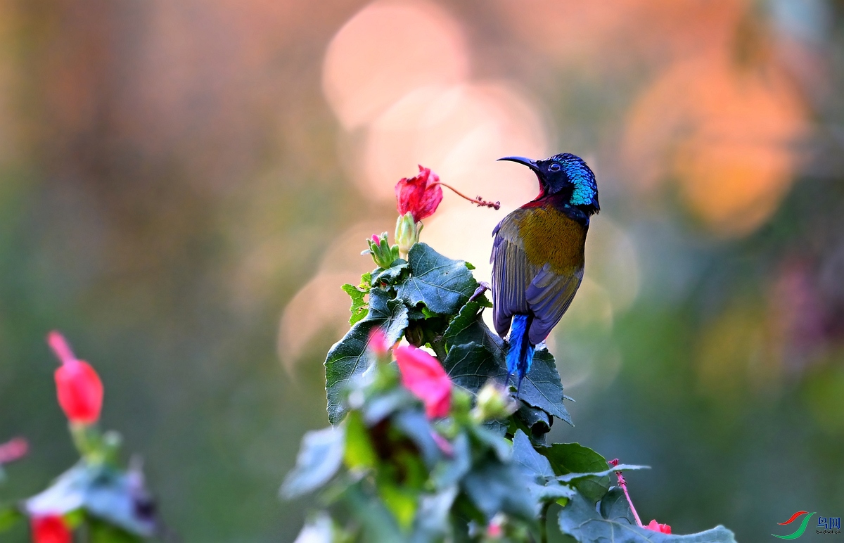 DSC_6341.jpg