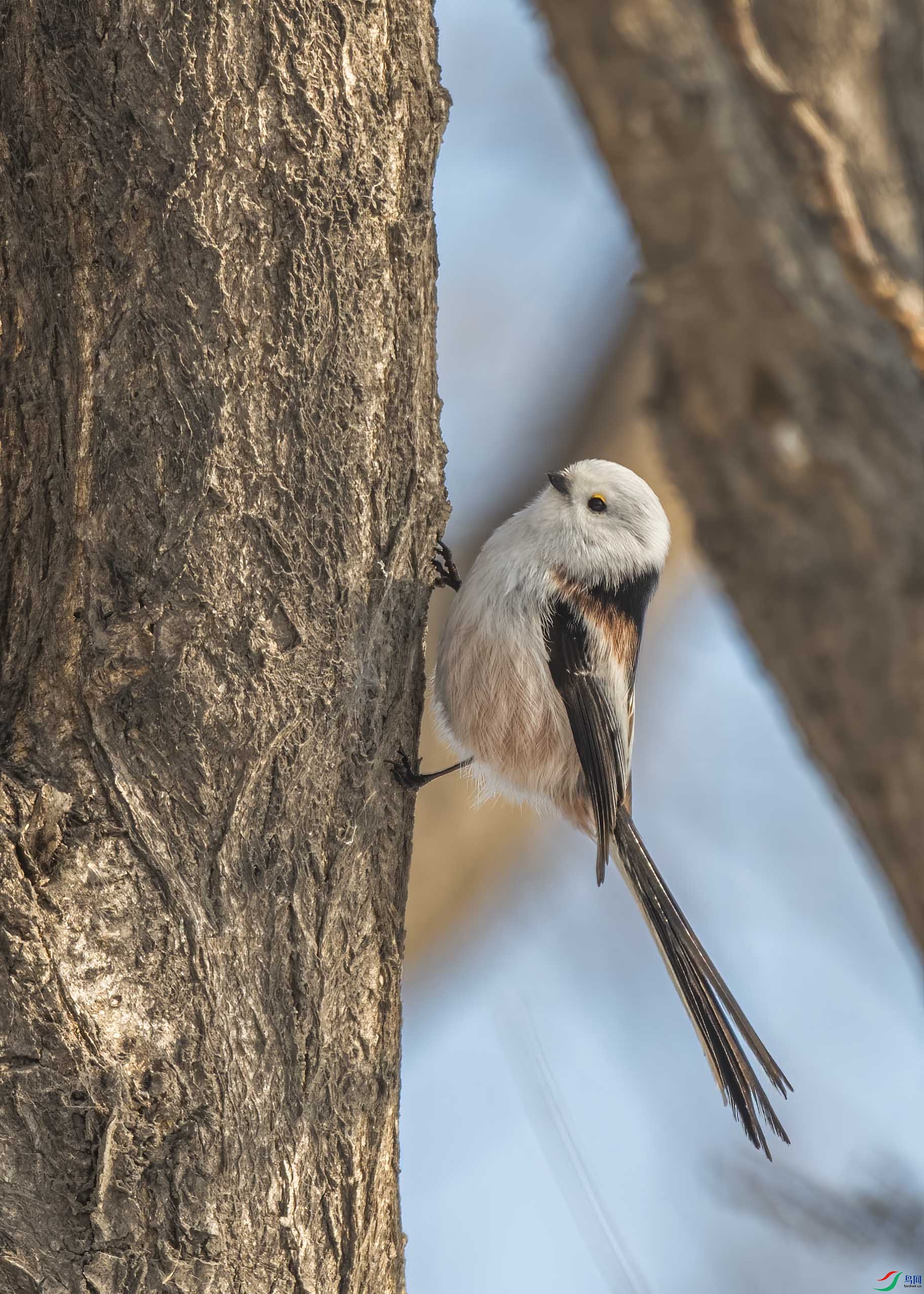 DSC_7124 ����.jpg