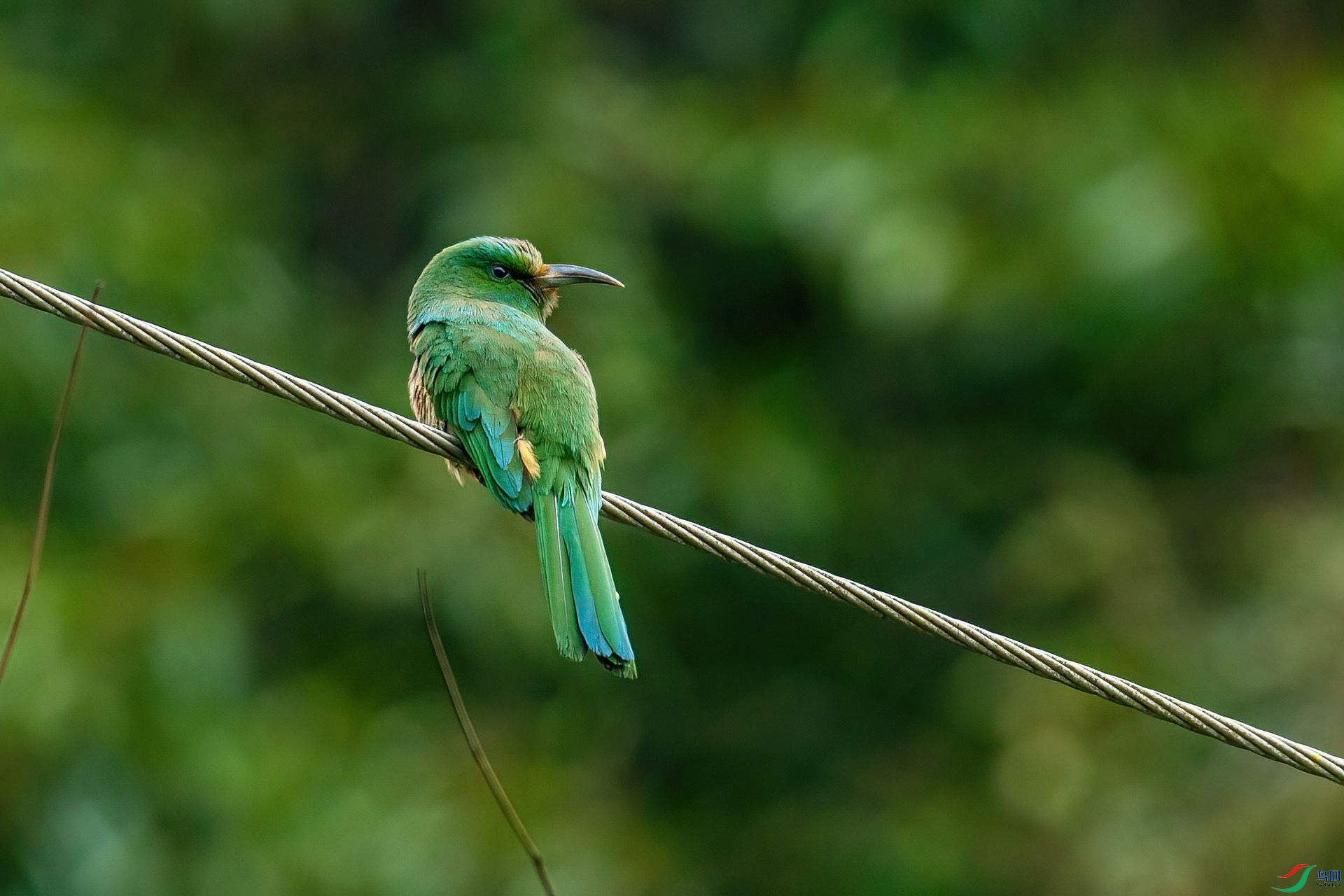 DSC_7551.jpg