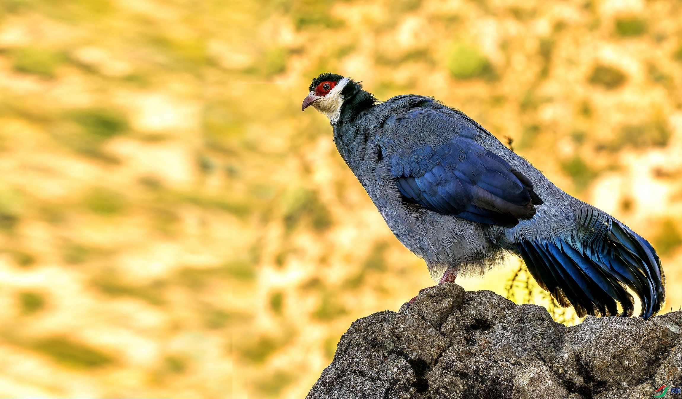 ������ -001-1.jpg